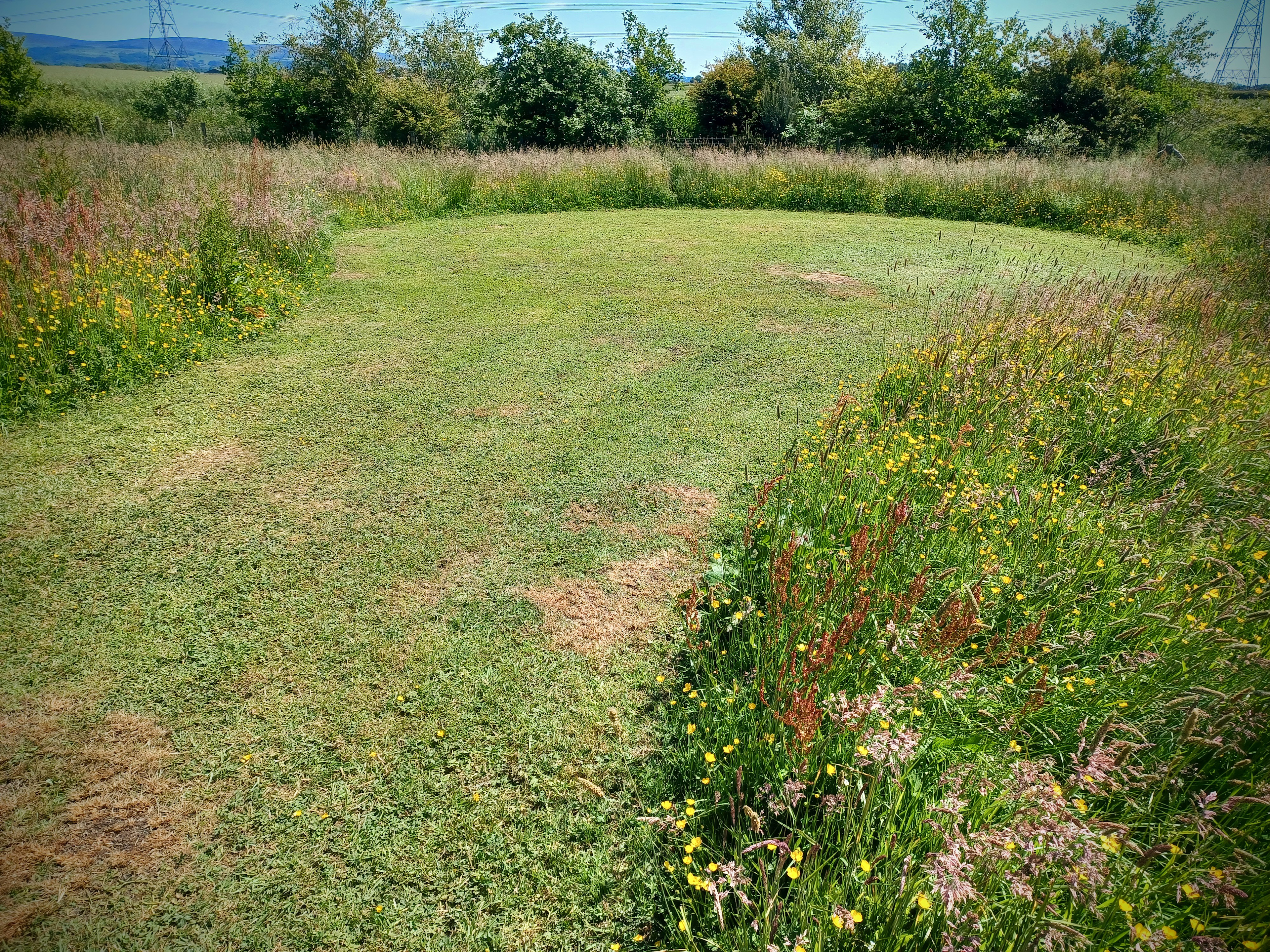 Moss Rose Campsite