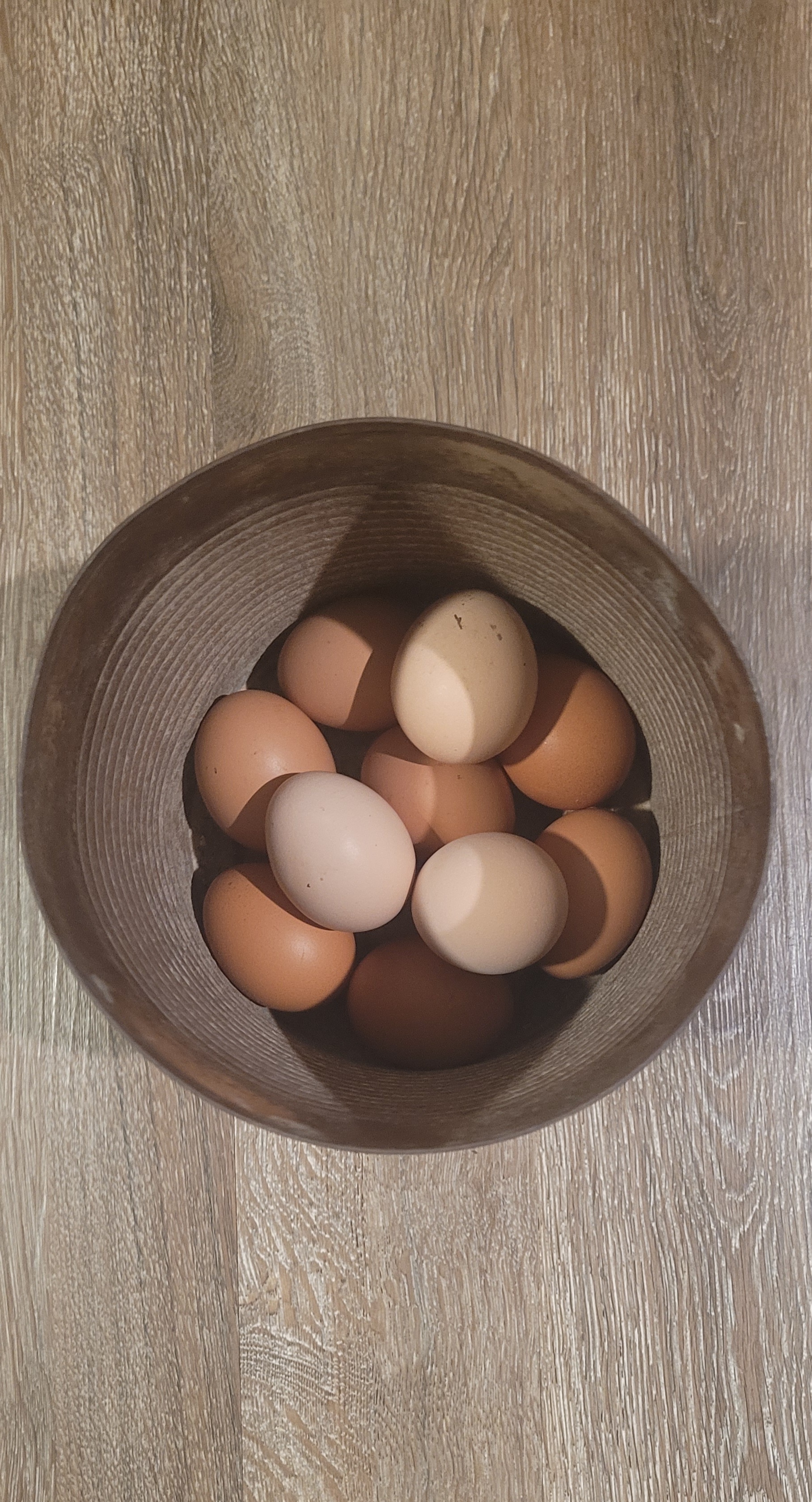 Fresh Eggs to Gather!
