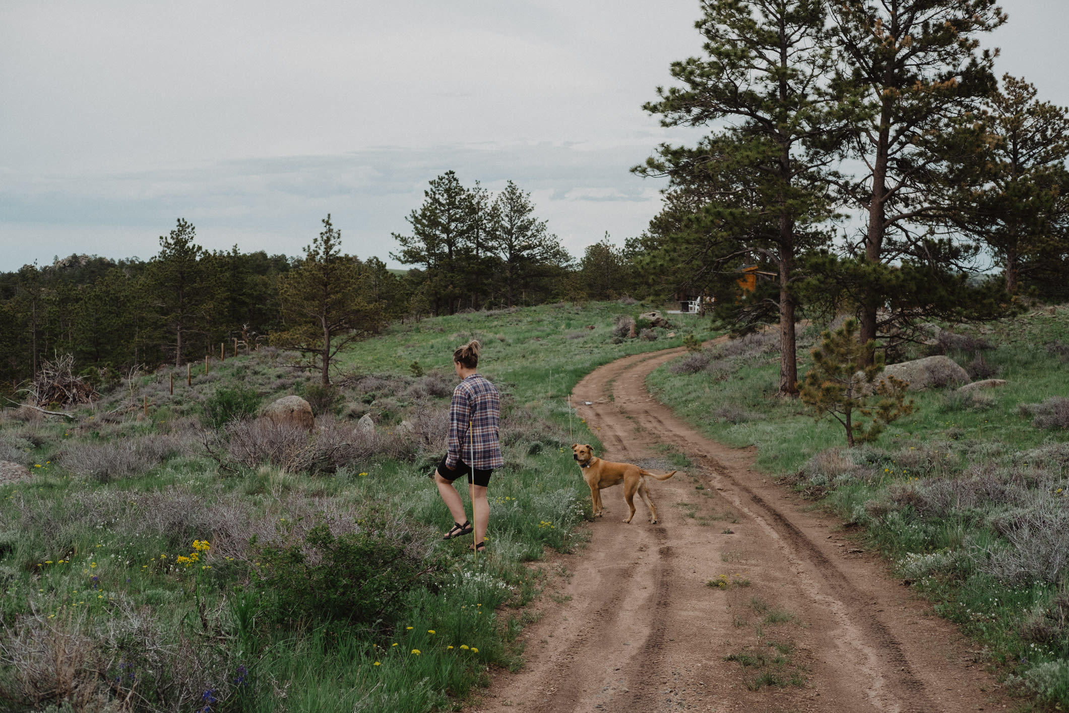 Buford Canyon