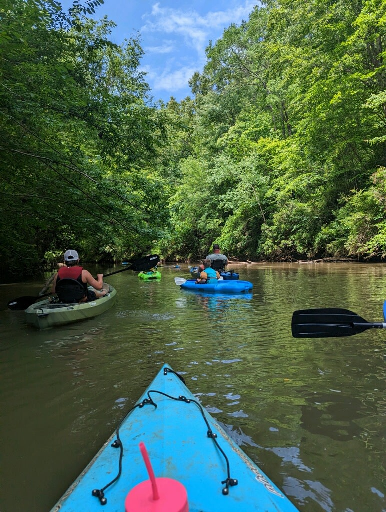 The Tallapoosa Hideaway: Wilderness Retreat