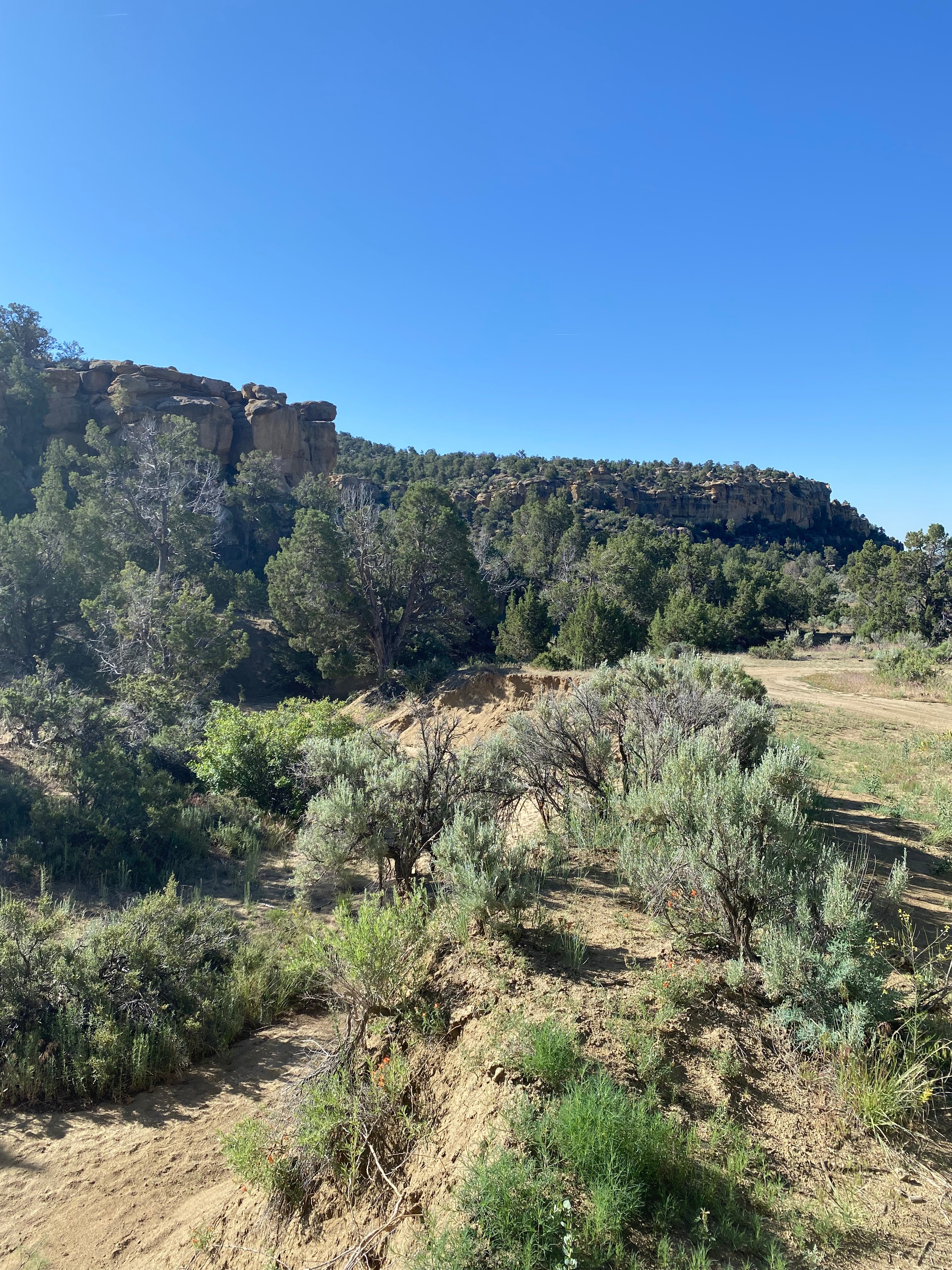 Mountain View Campground