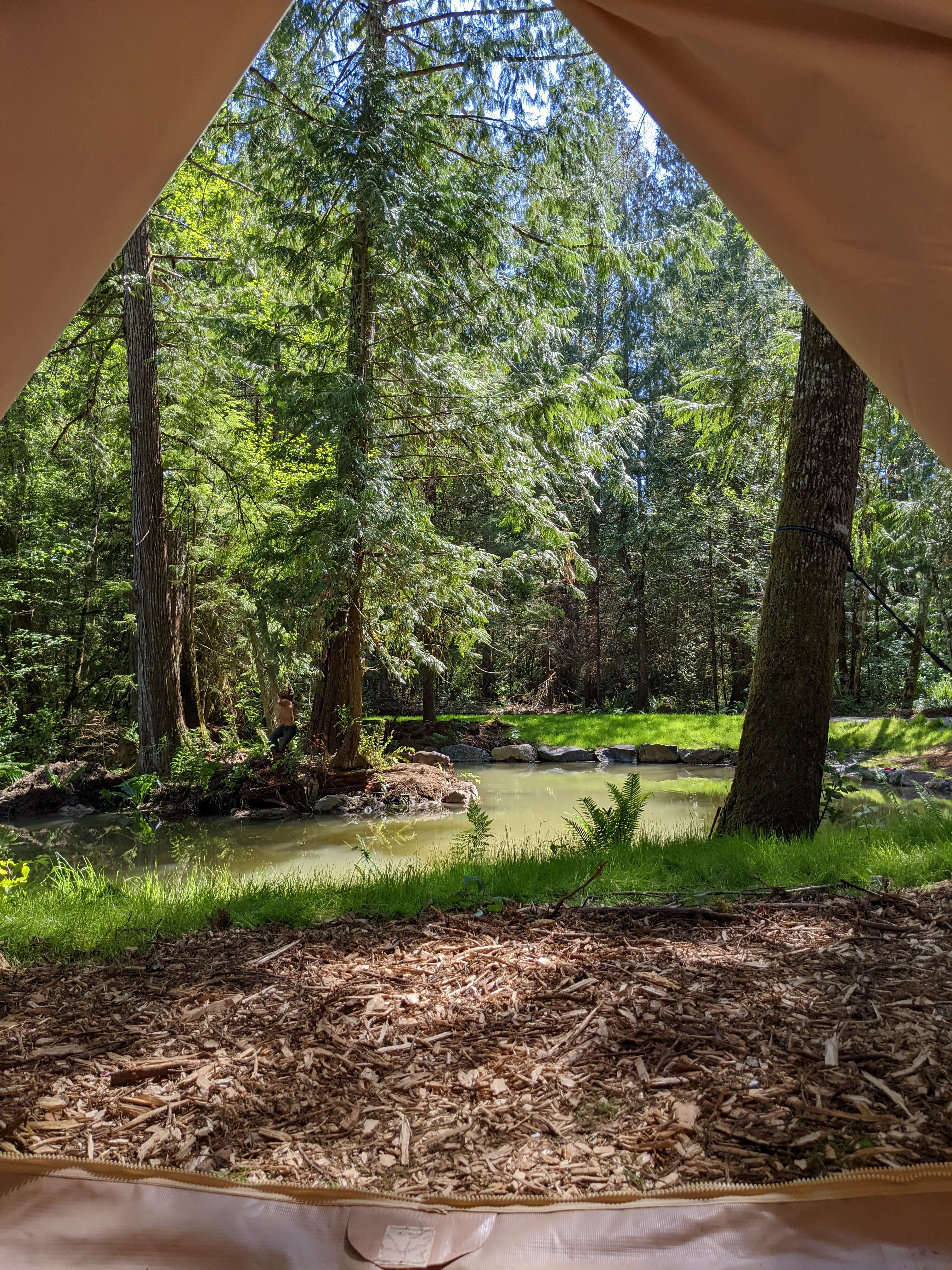 West Coast Wilderness Glamping
