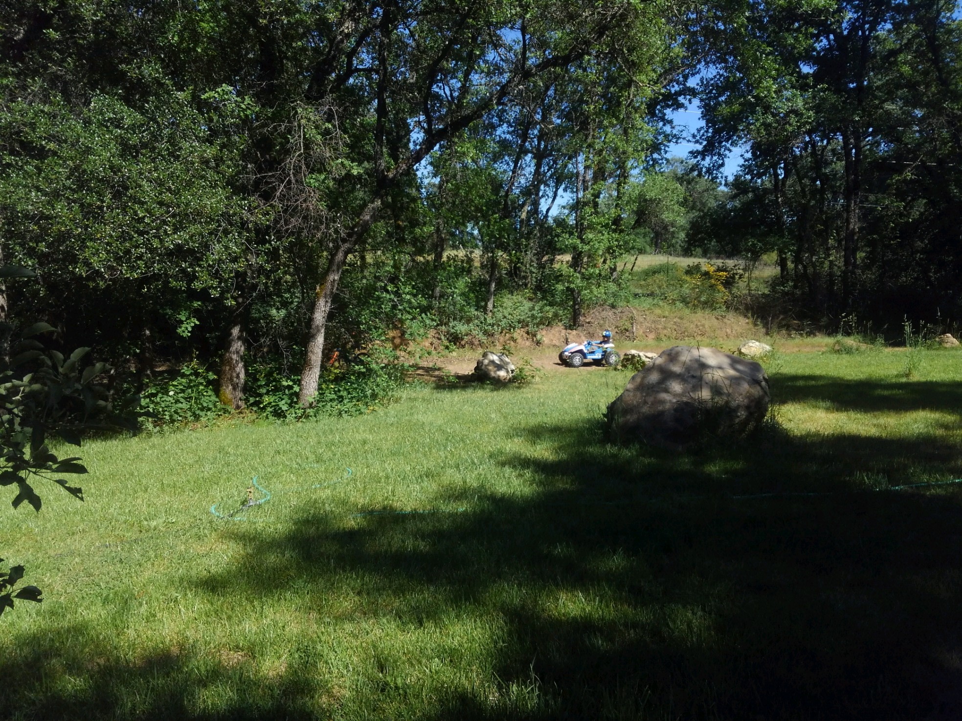 Camp Run Amuck Hollow