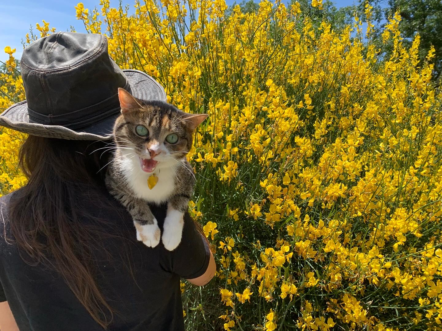 just a sample of the amazing wildflowers surrounding the paths to the sites!