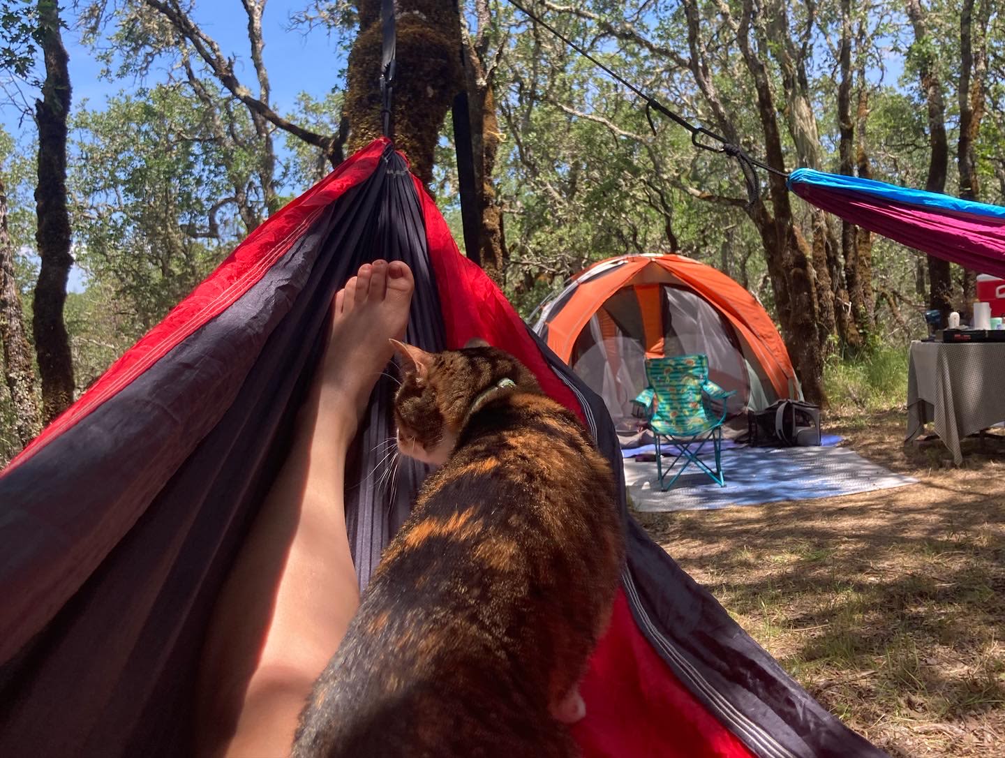 plenty of shade and trees for our hammocks.