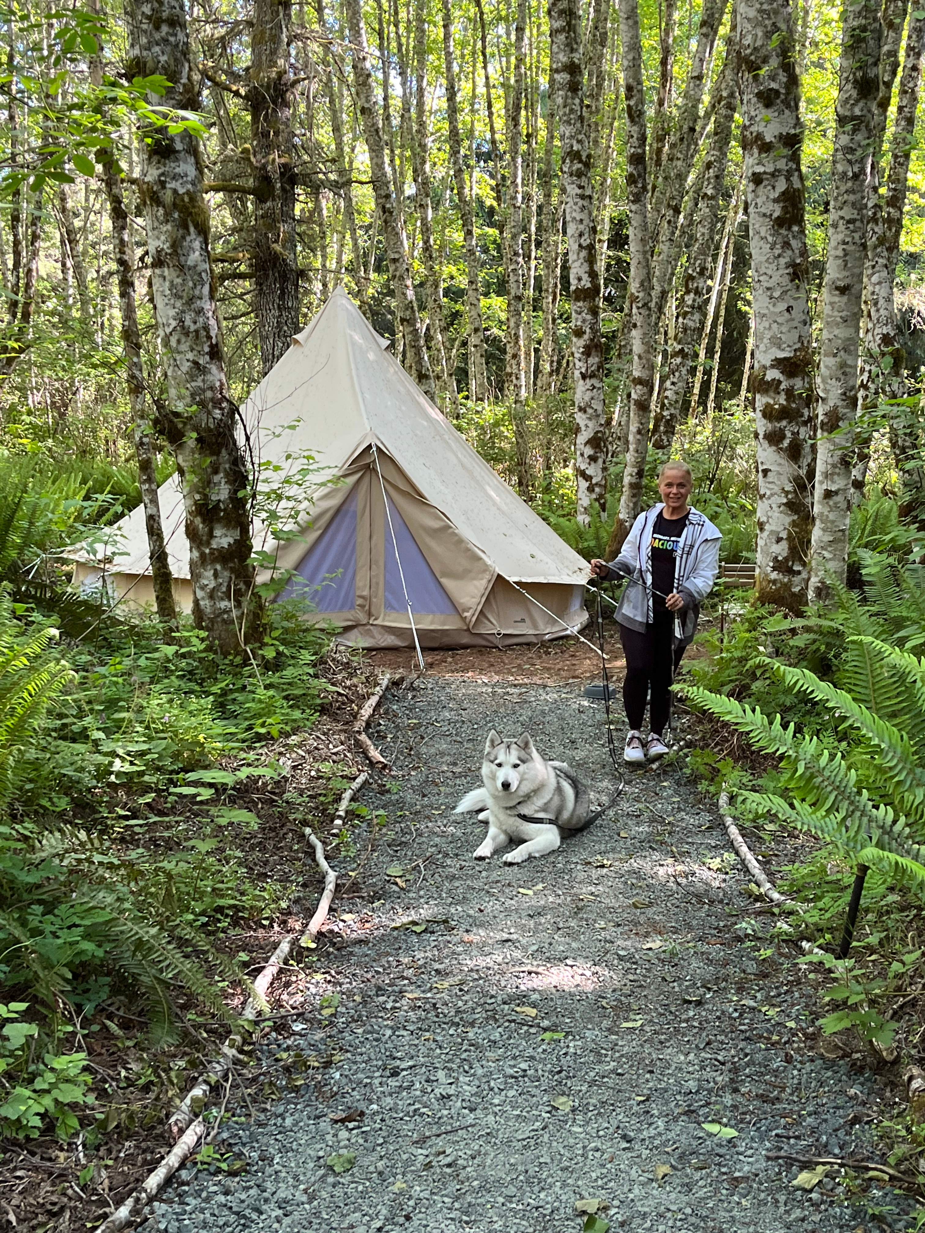 Bullkelp Tent #1