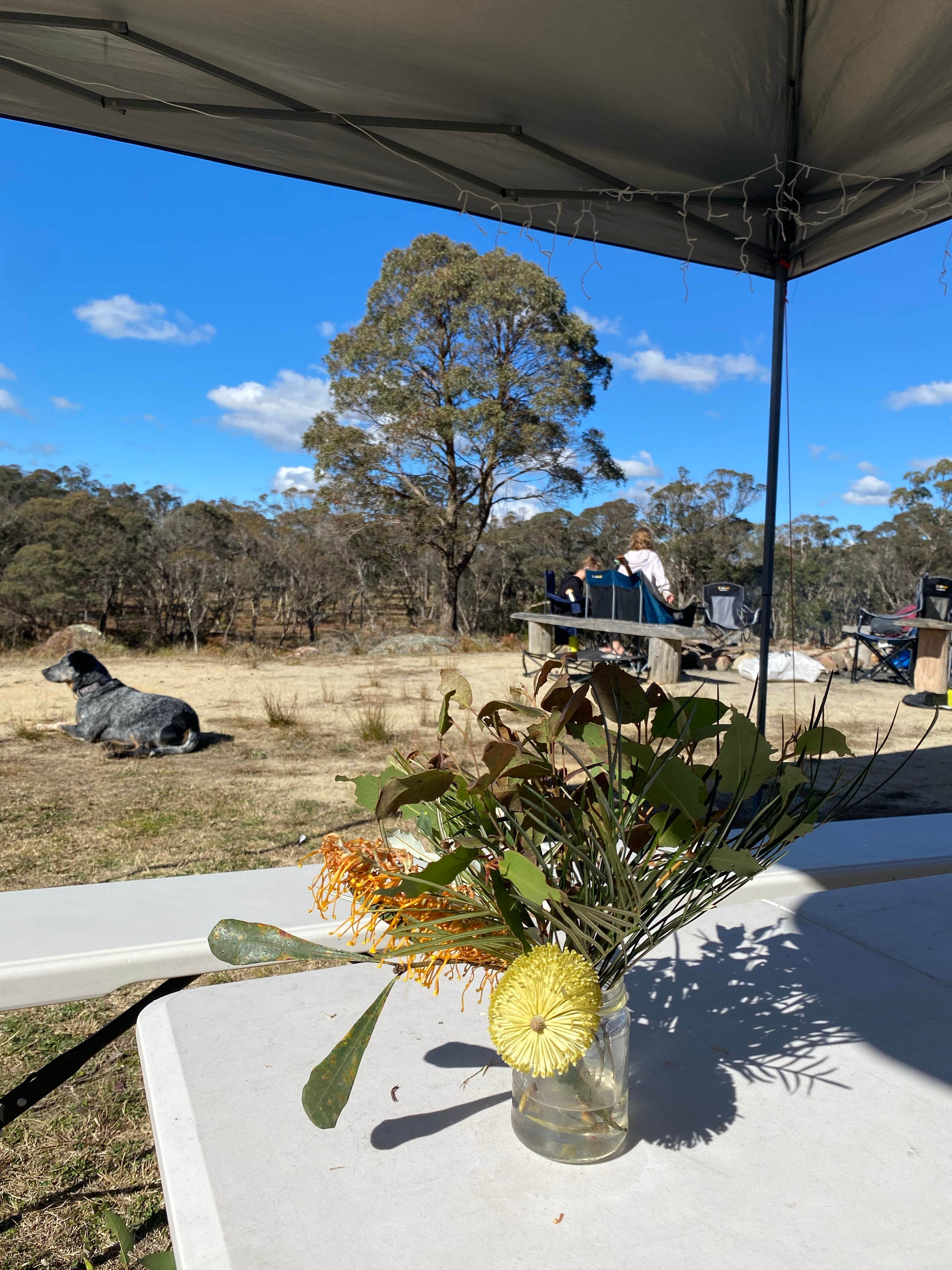 Jindalee Bush camping