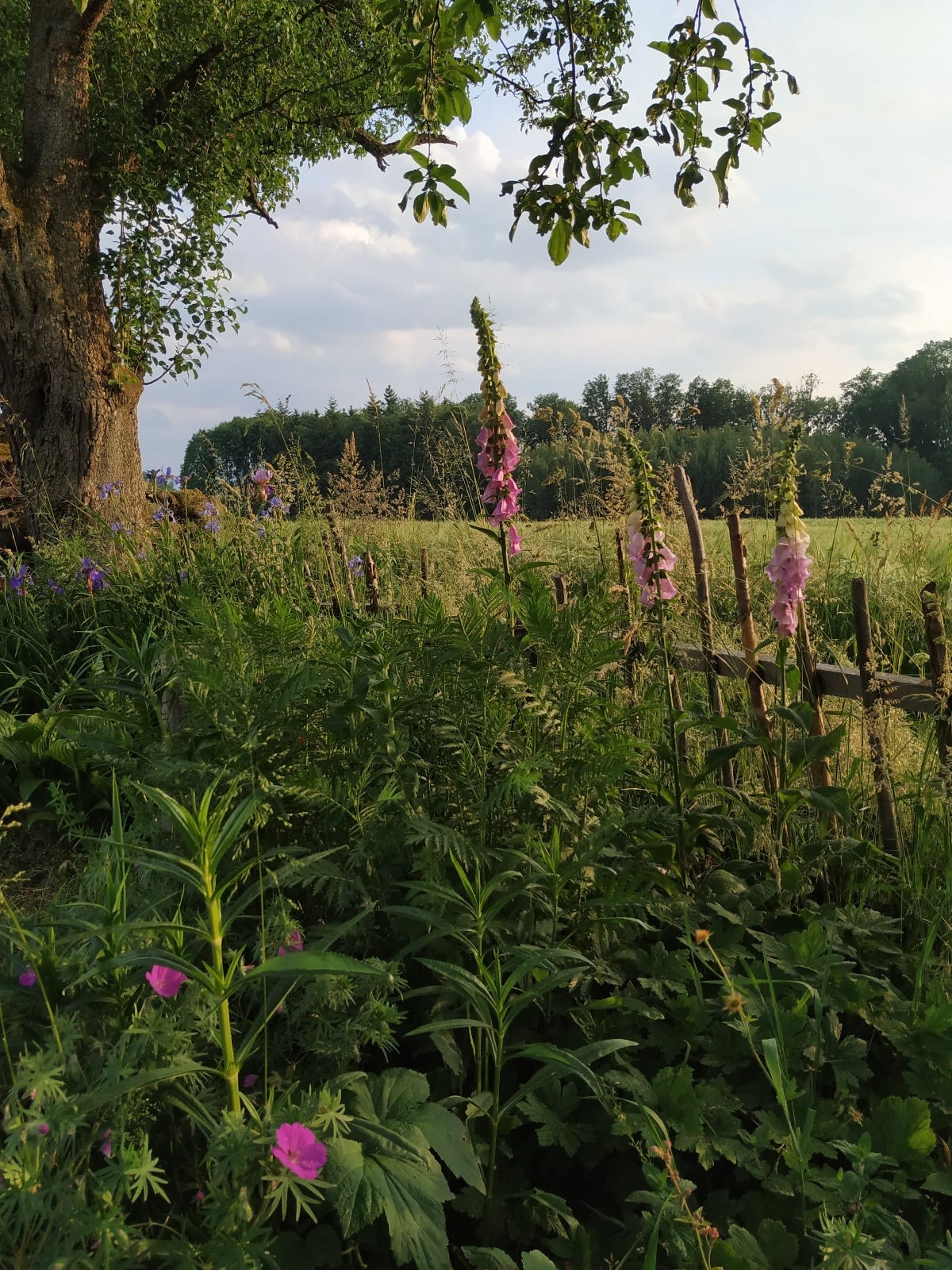 Camping@Unternhub.eu