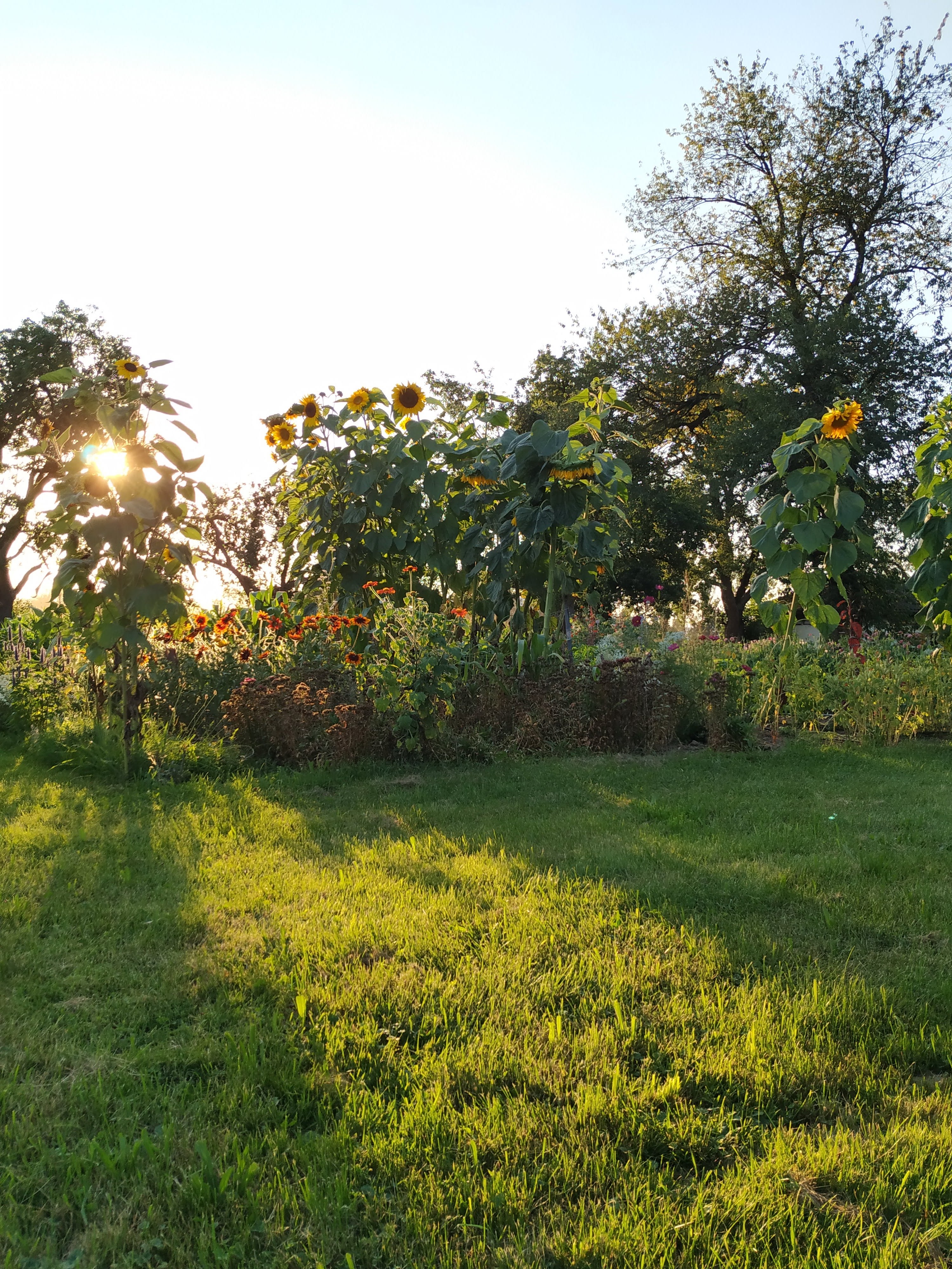 Camping@Unternhub.eu