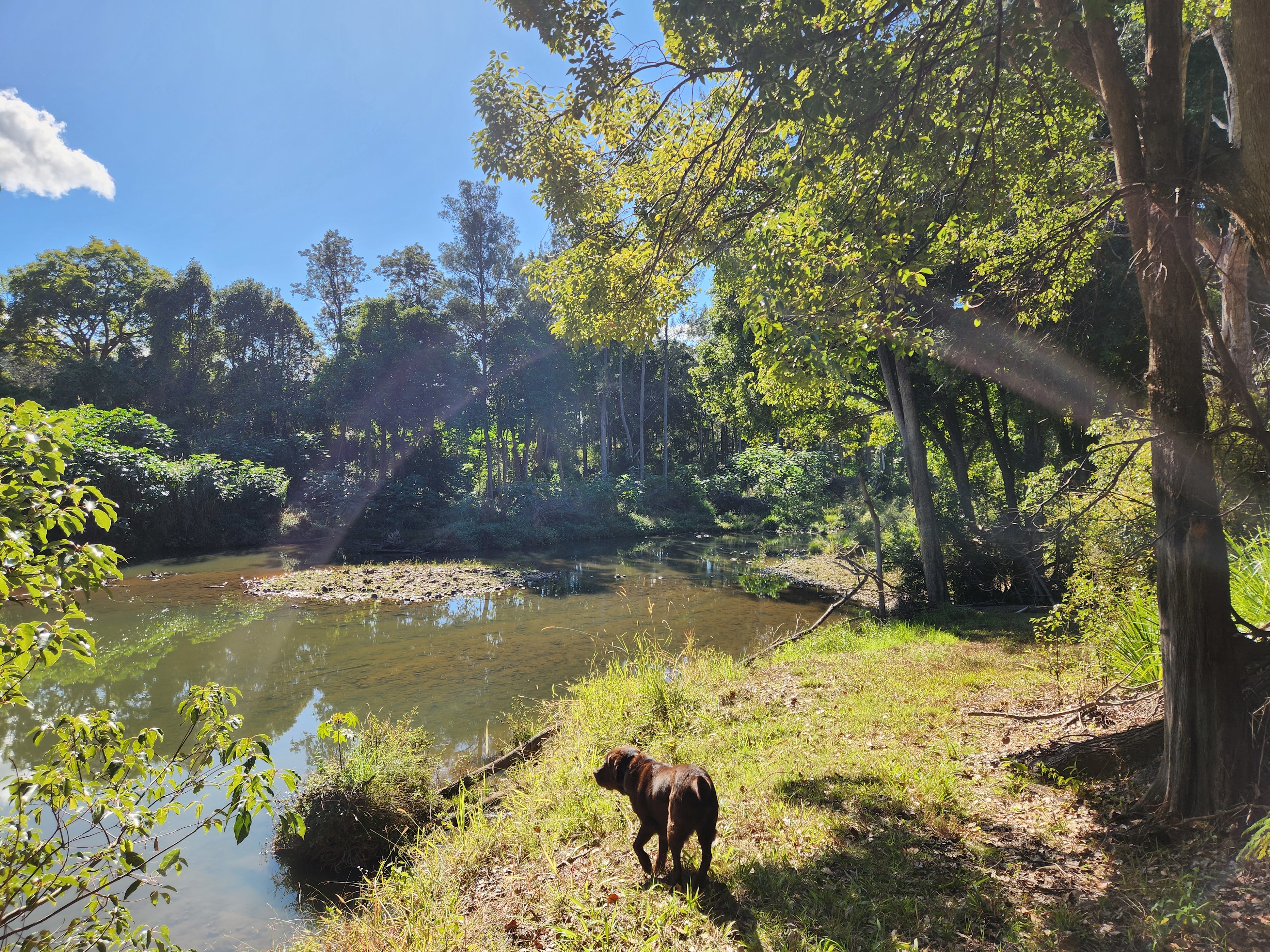 Windmill Creek Camp