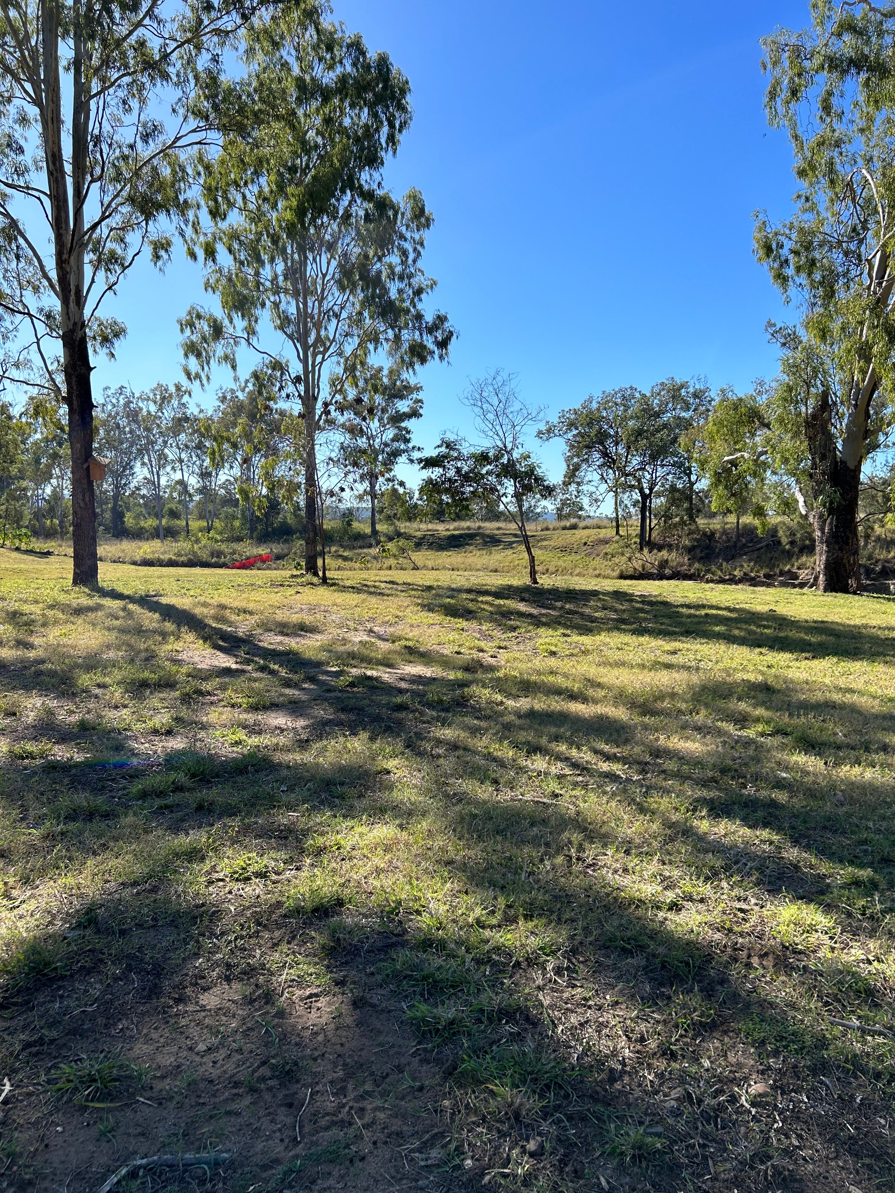 Rocky Creek Homestead