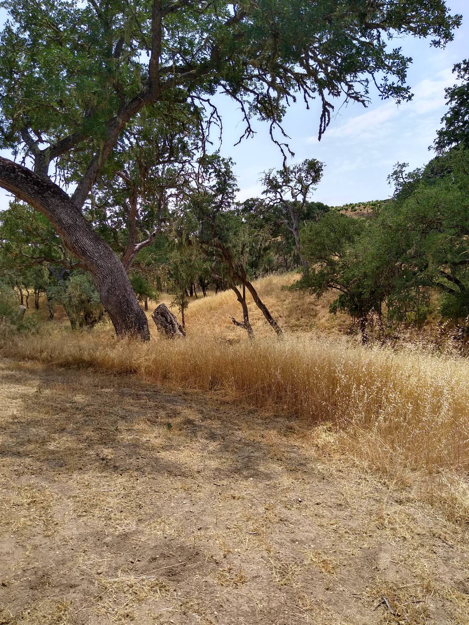 McDavitt Country Camping