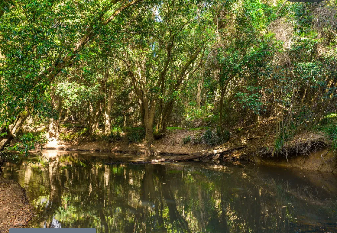 Swimming hole