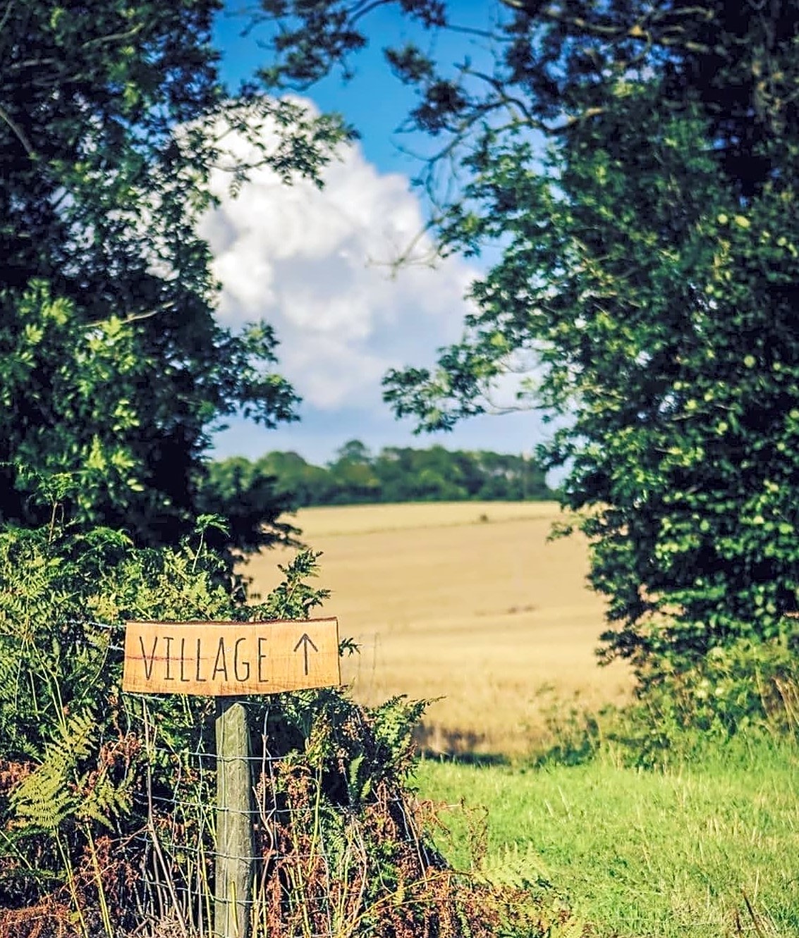 Beautiful Walk to Shepherdswell Village
