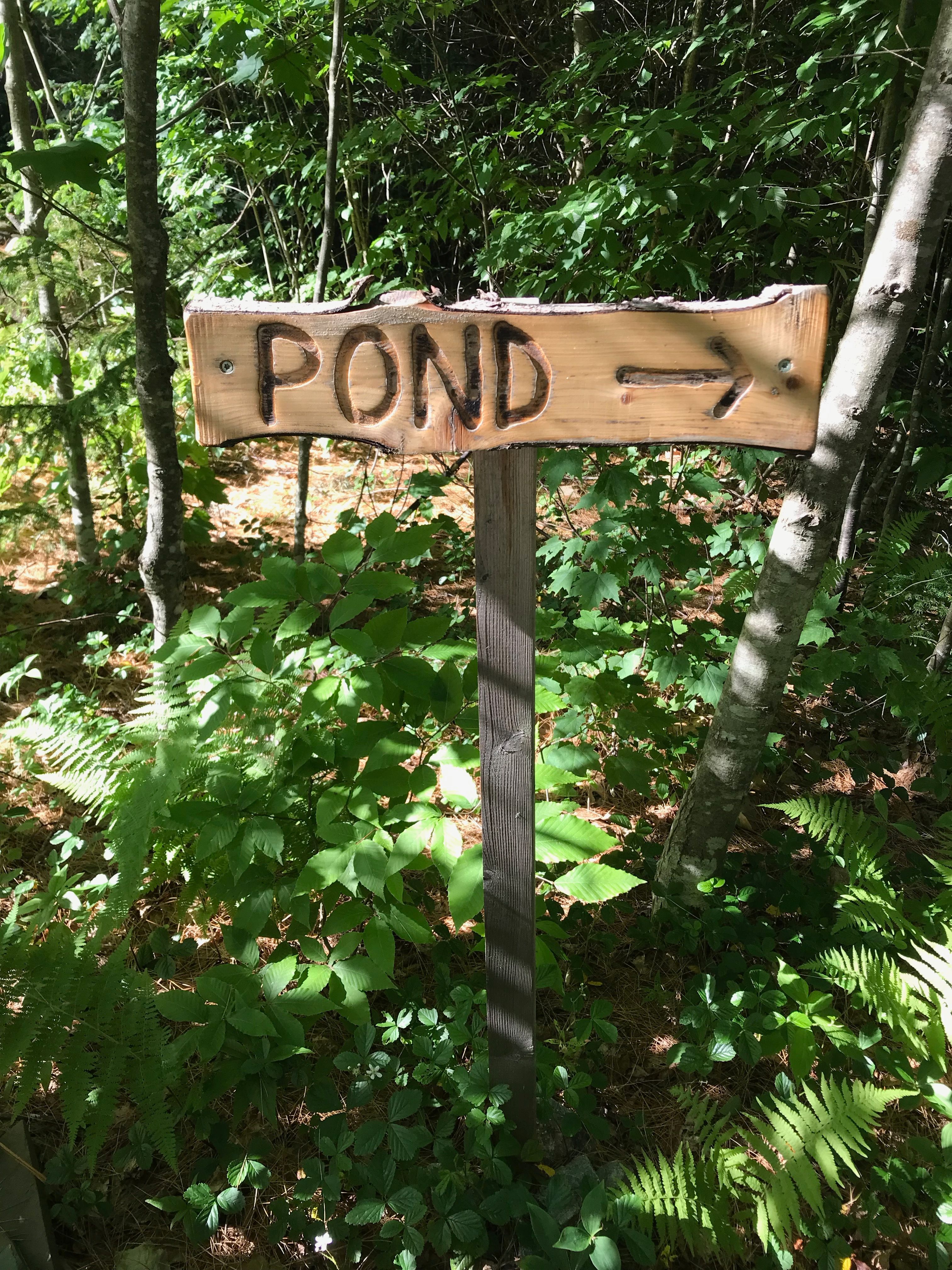 Short path to pond.