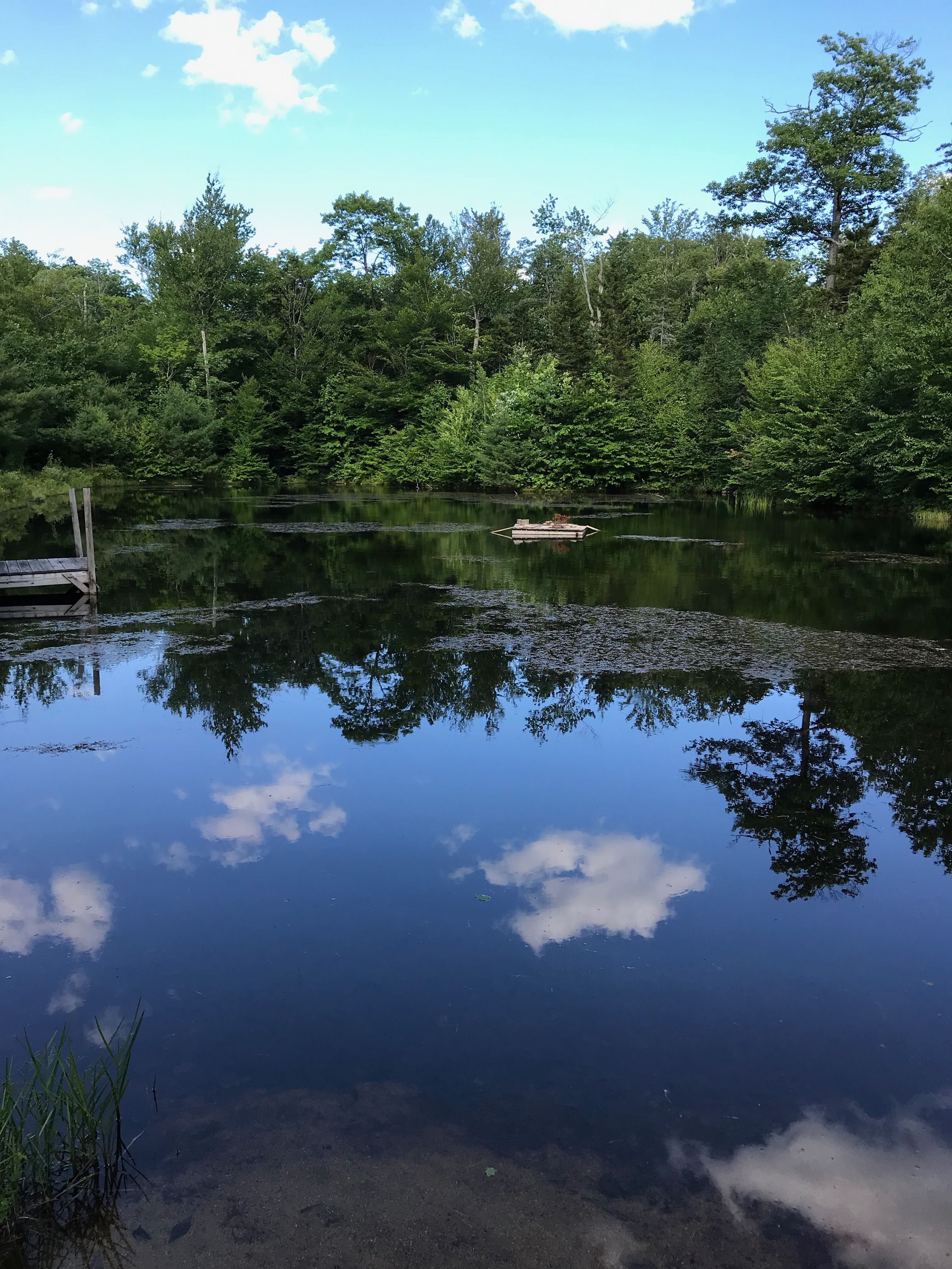 Private Nature Pond