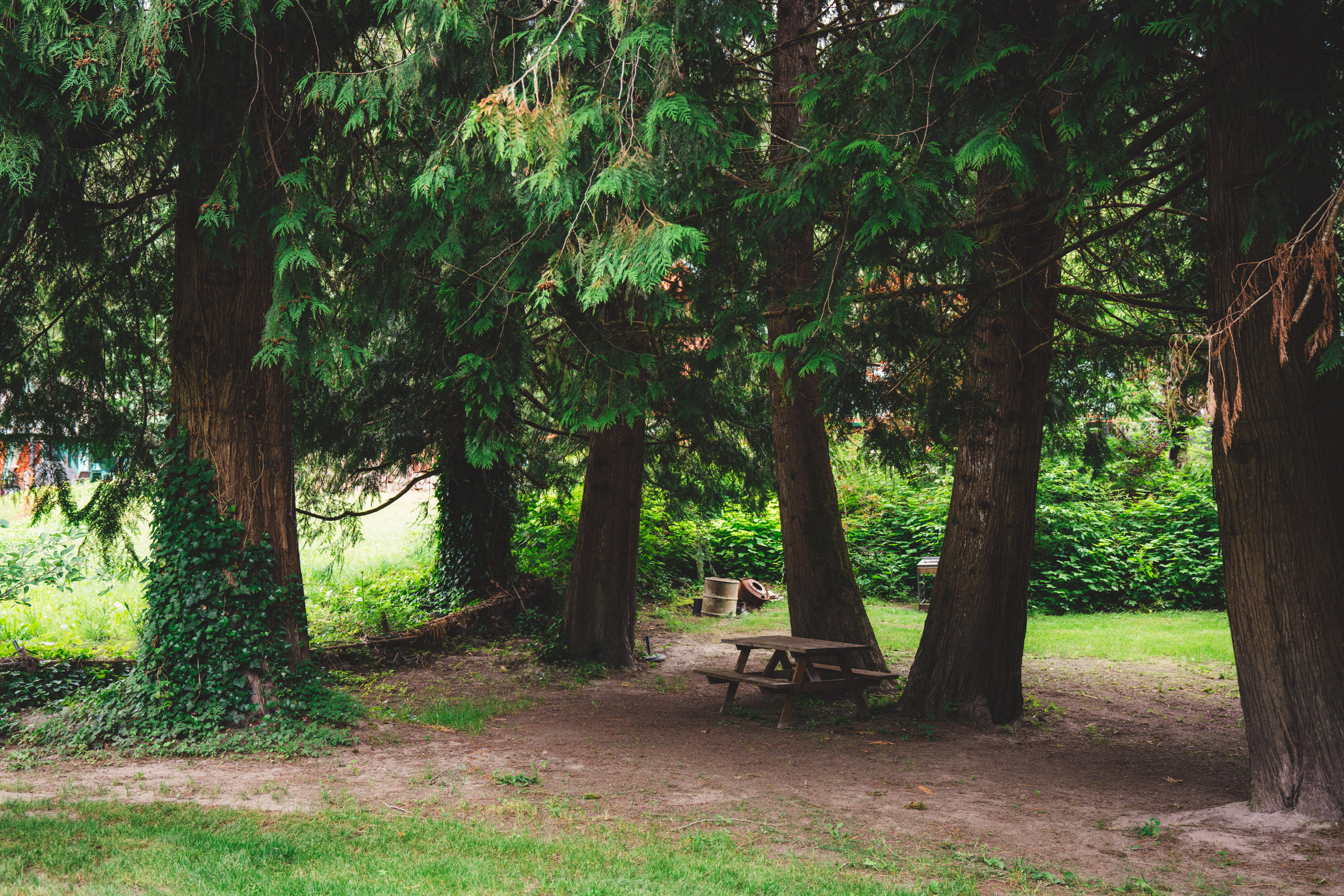 Living Large on Chilliwack River