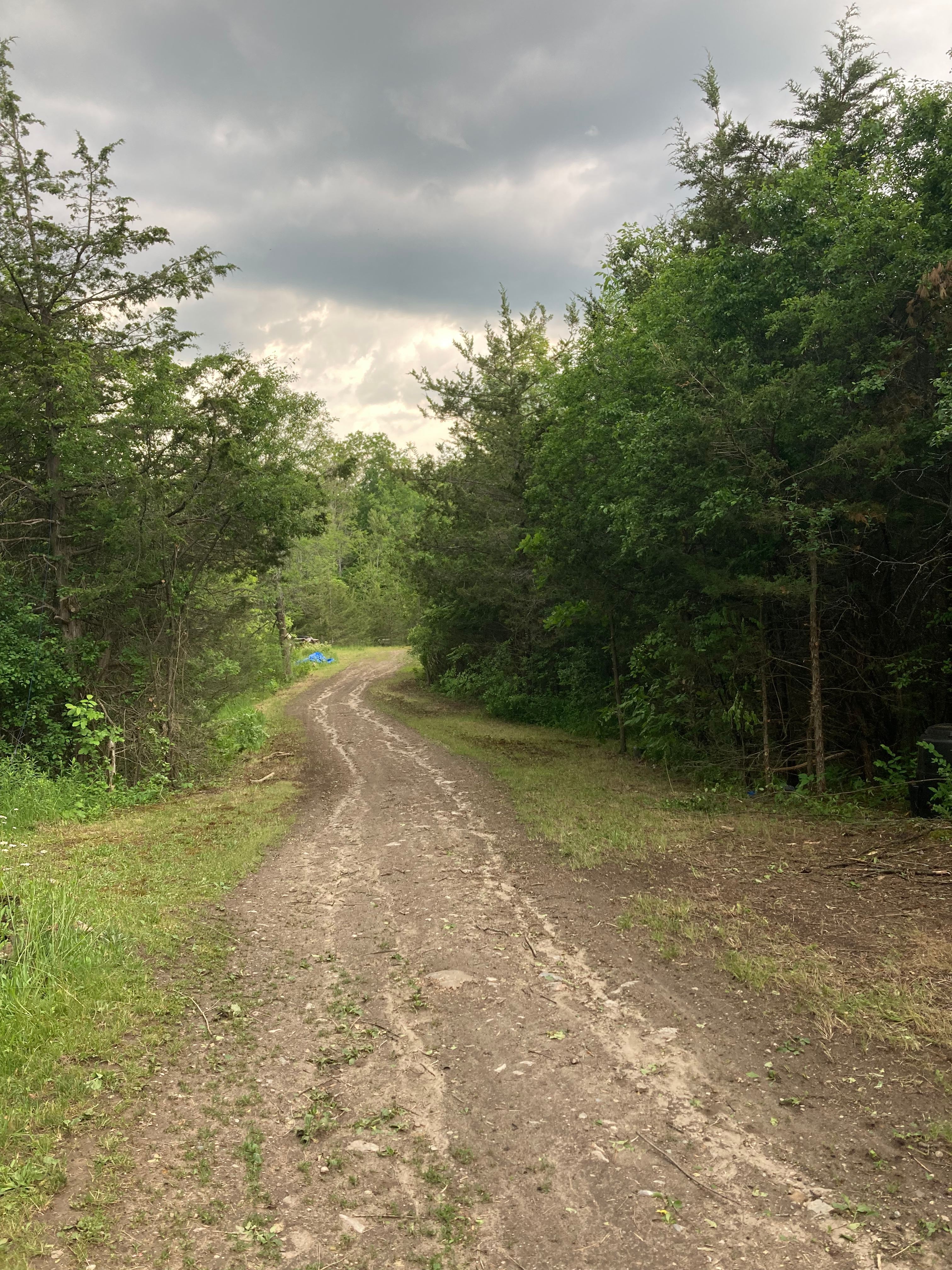 Headed down from our house to the overflow parking. Turn left at the bottom and go about the same distance threw the woods to the beginning  the campsite 