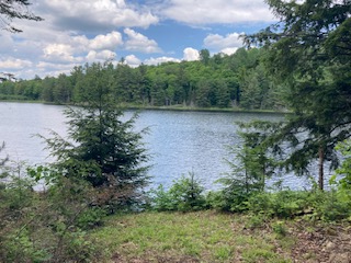 Ball Lake Tent Camping