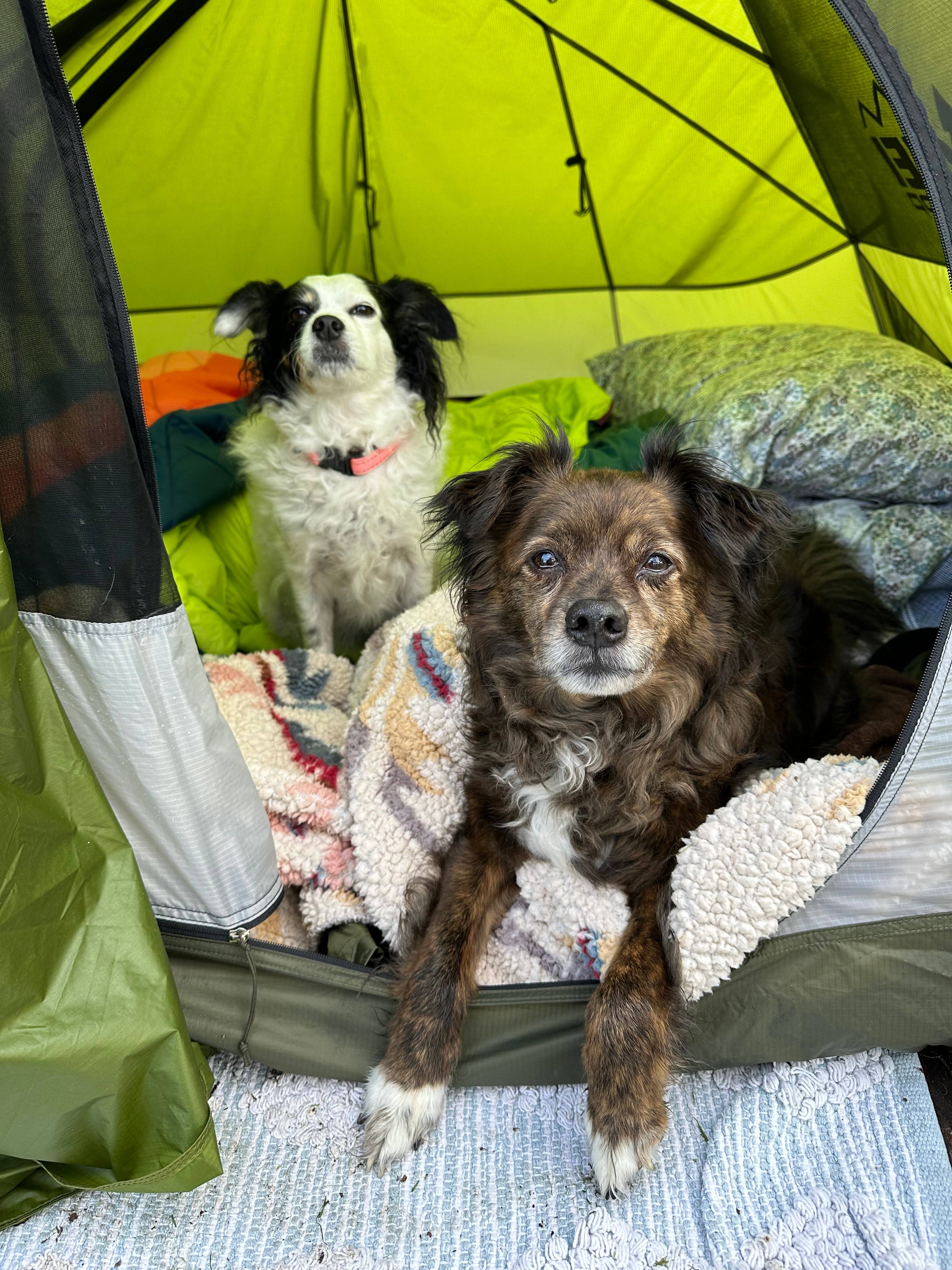 Creekside on Camp Road