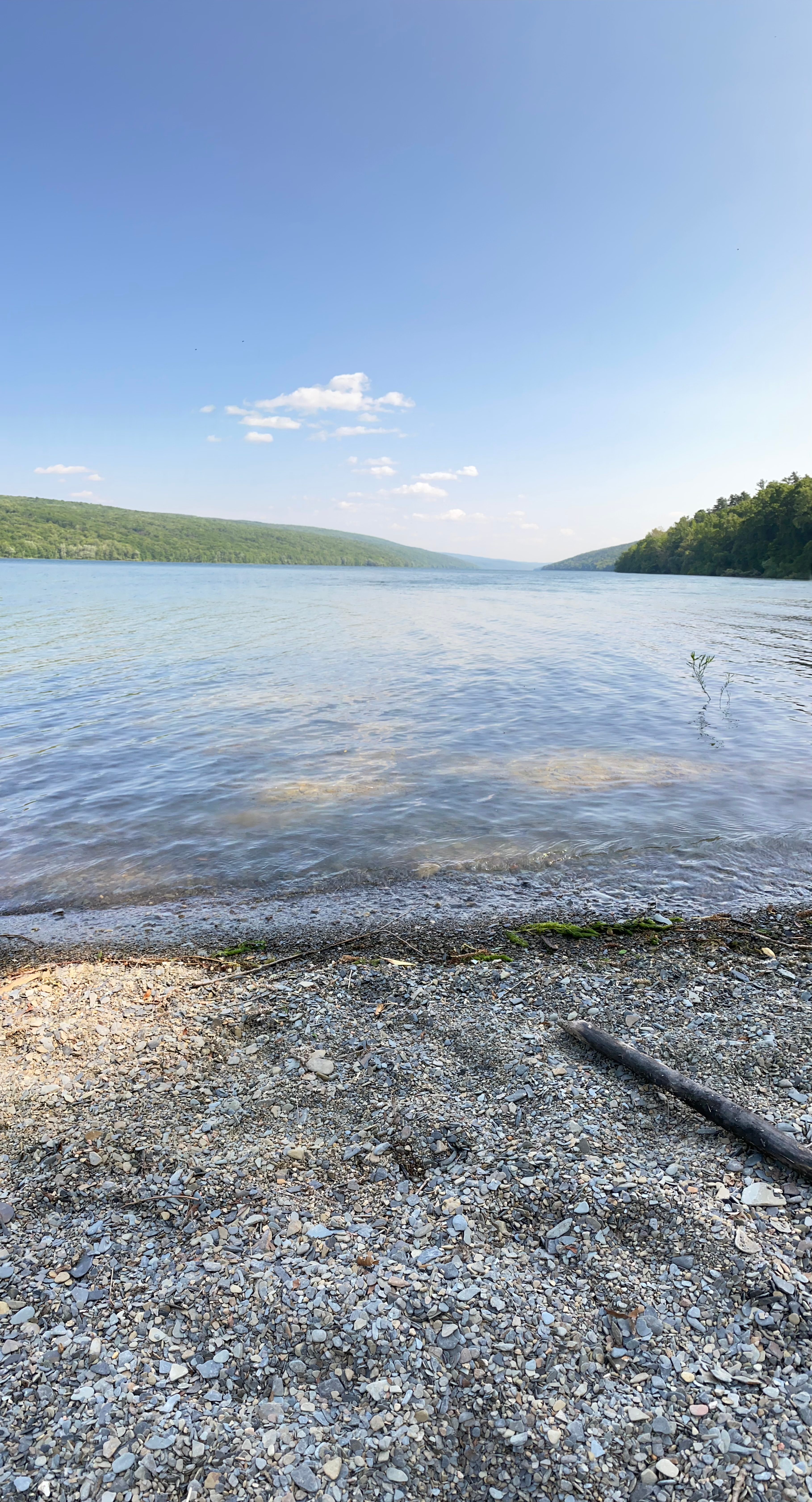 Mission Hemlock Grove