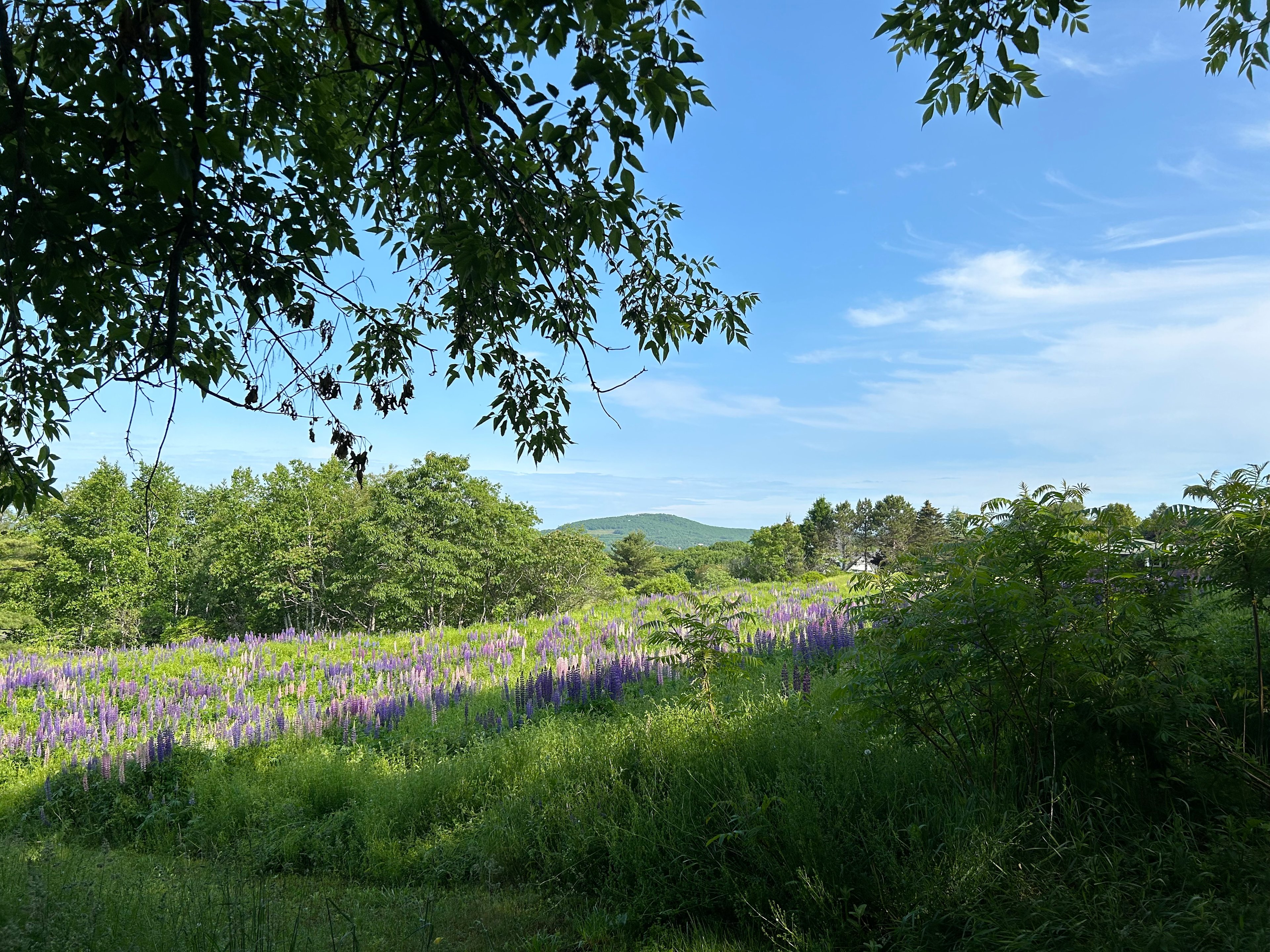 George’s highland edge