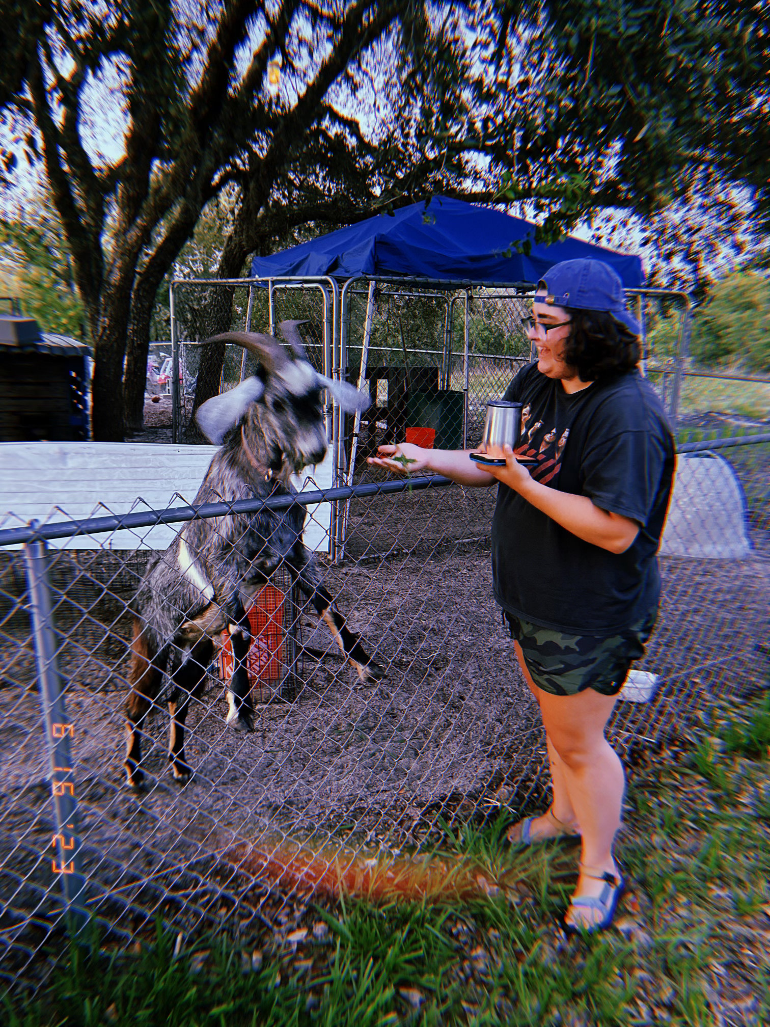 Happy Campers Rescue Ranch