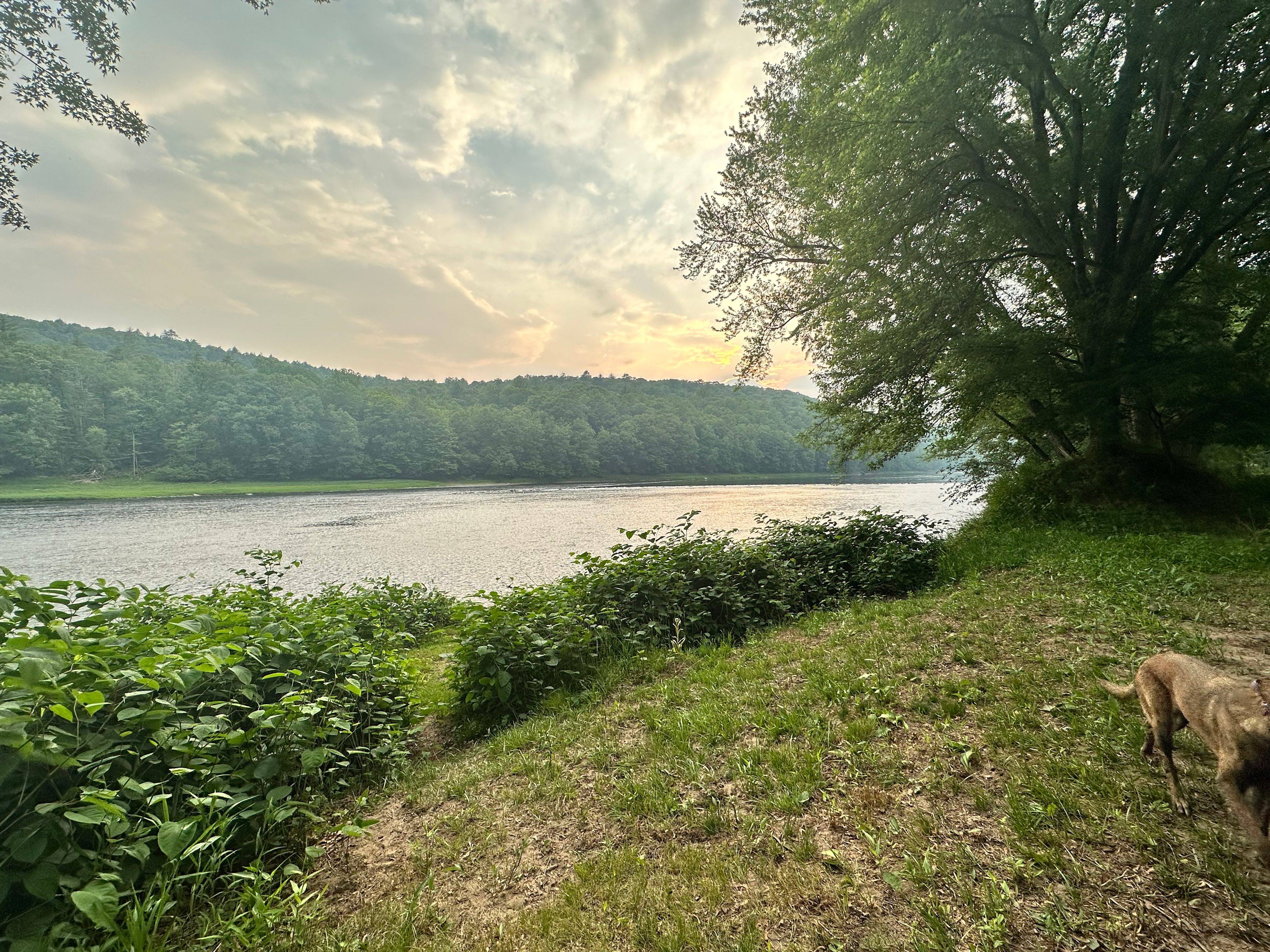 Delaware  River  RV Site