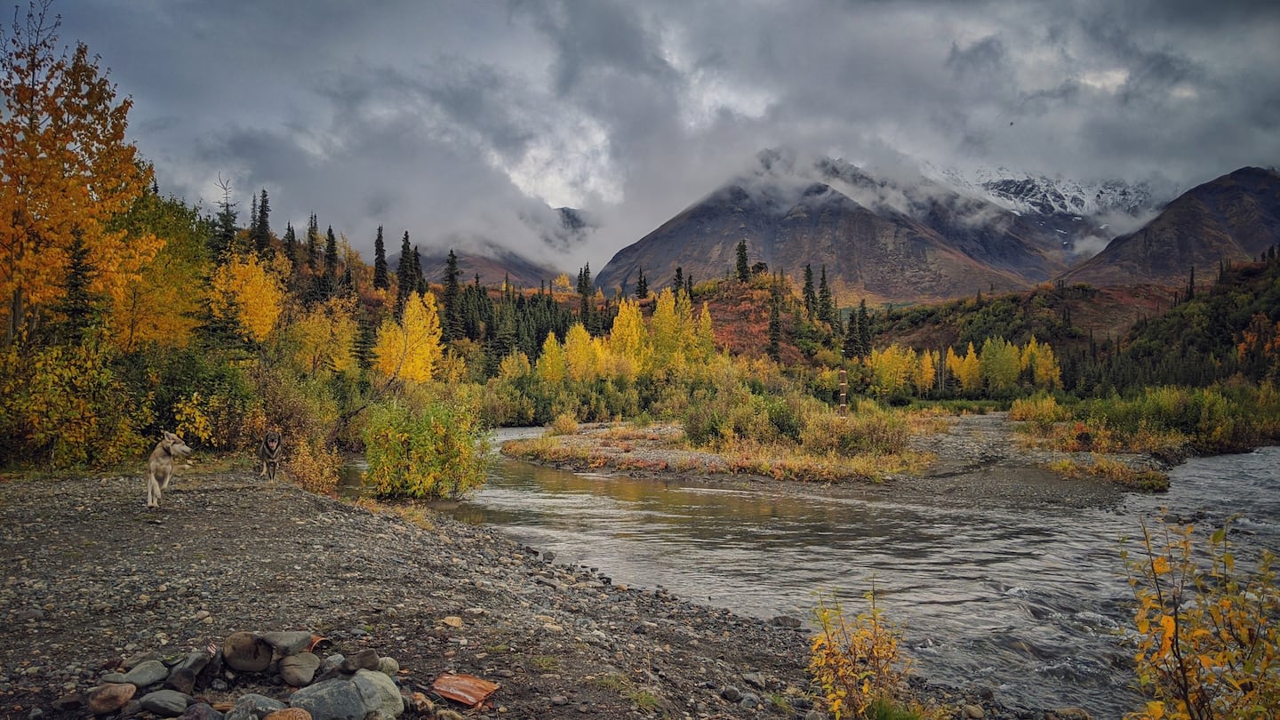 We are about a 3/4 mile walk to the Jack River with beautiful views.