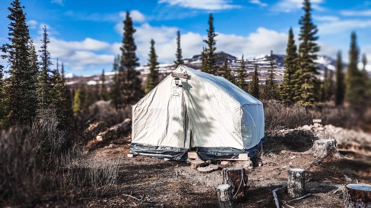 Wildthingz Dog Mushing