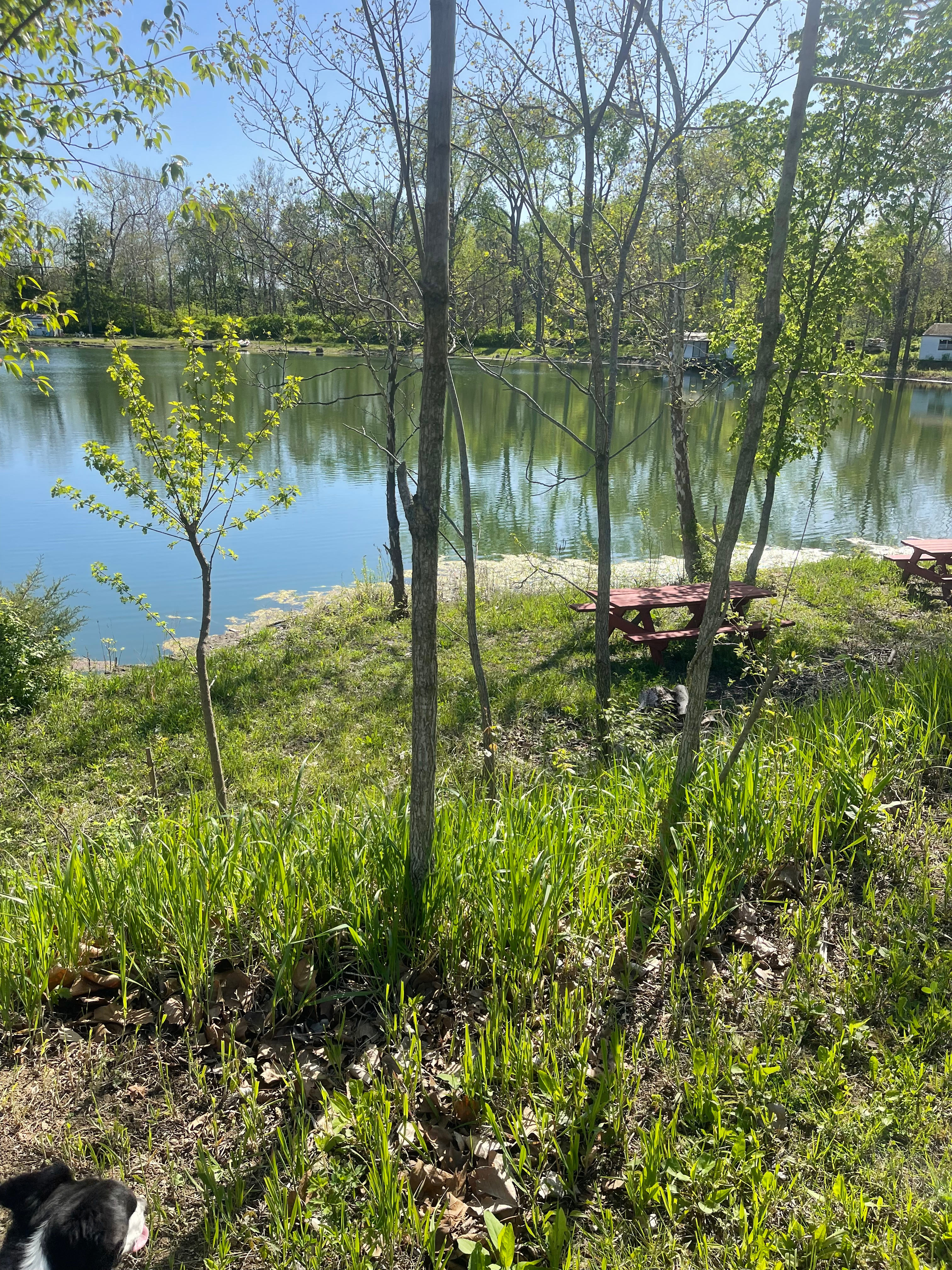 Blue Water Lake