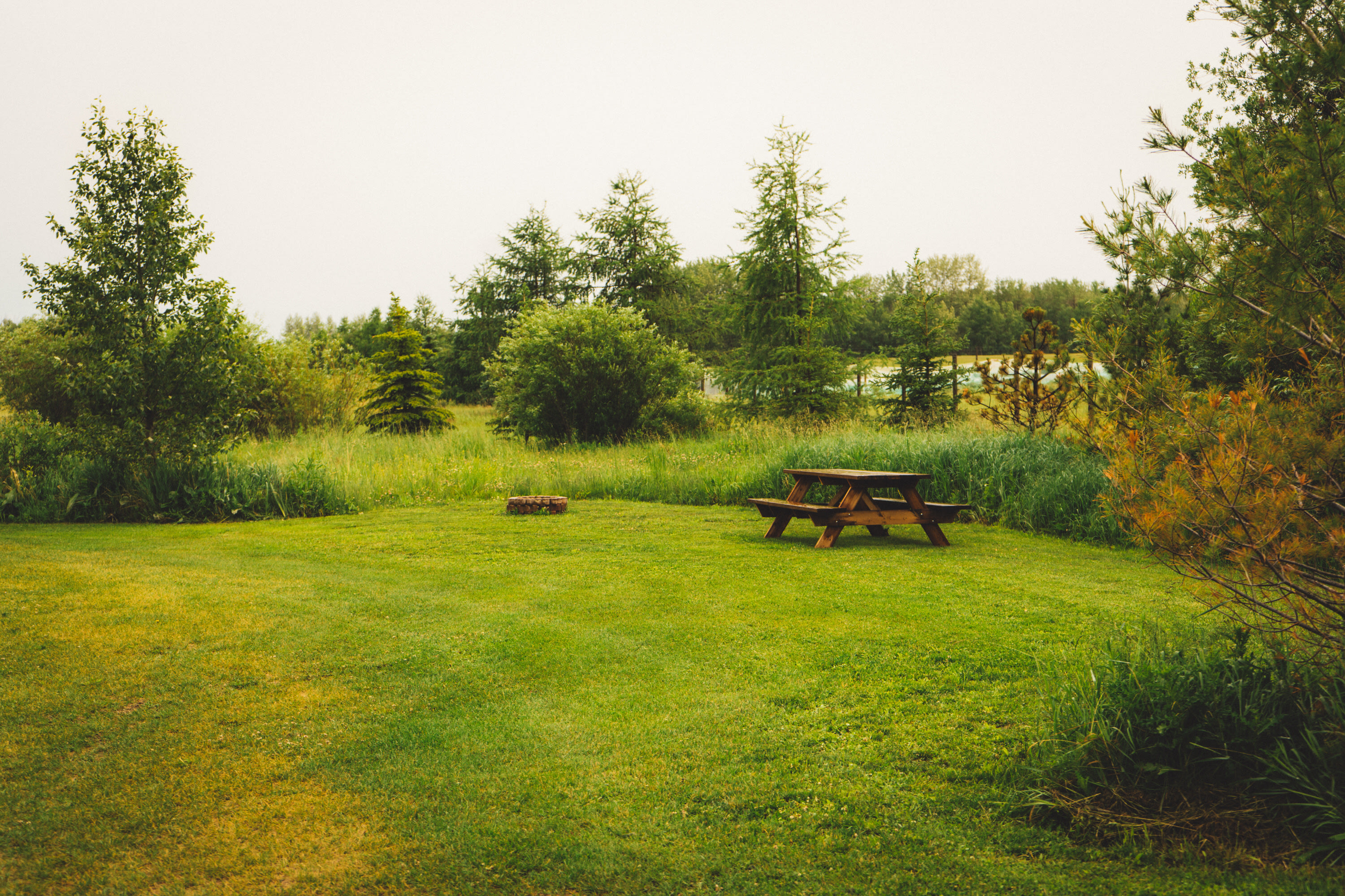 Elk Island Getaway