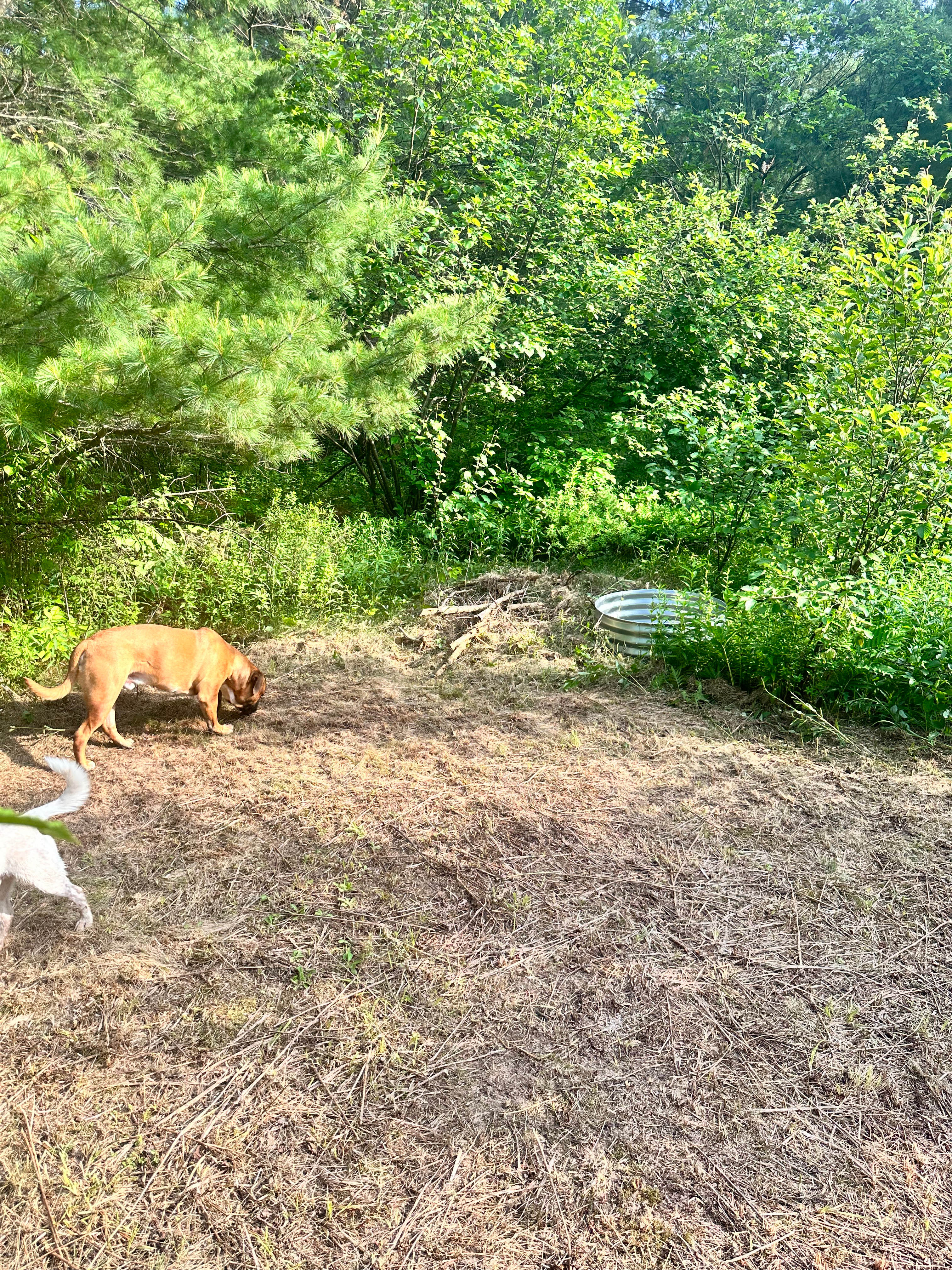 Huckleberry camp