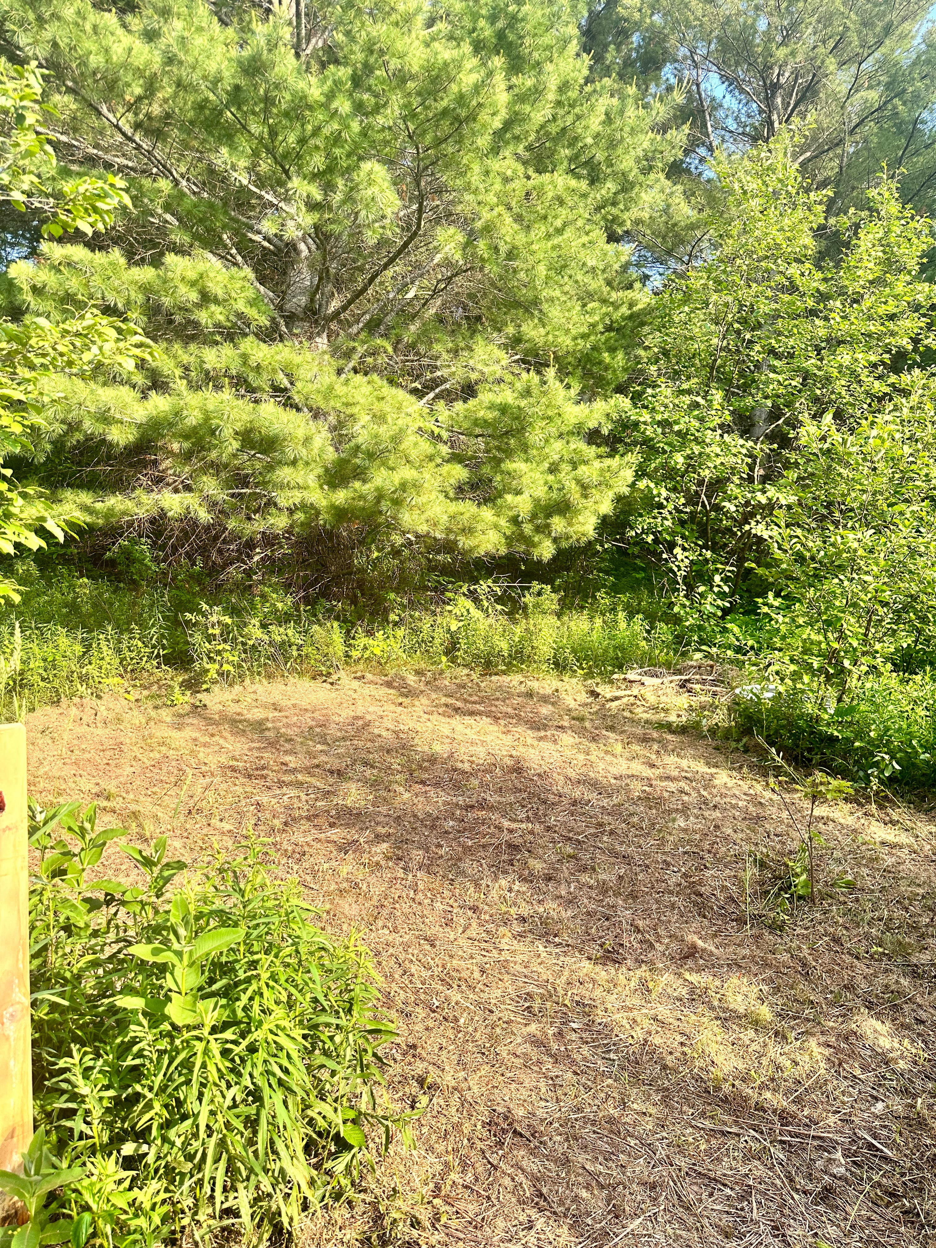 Huckleberry camp
