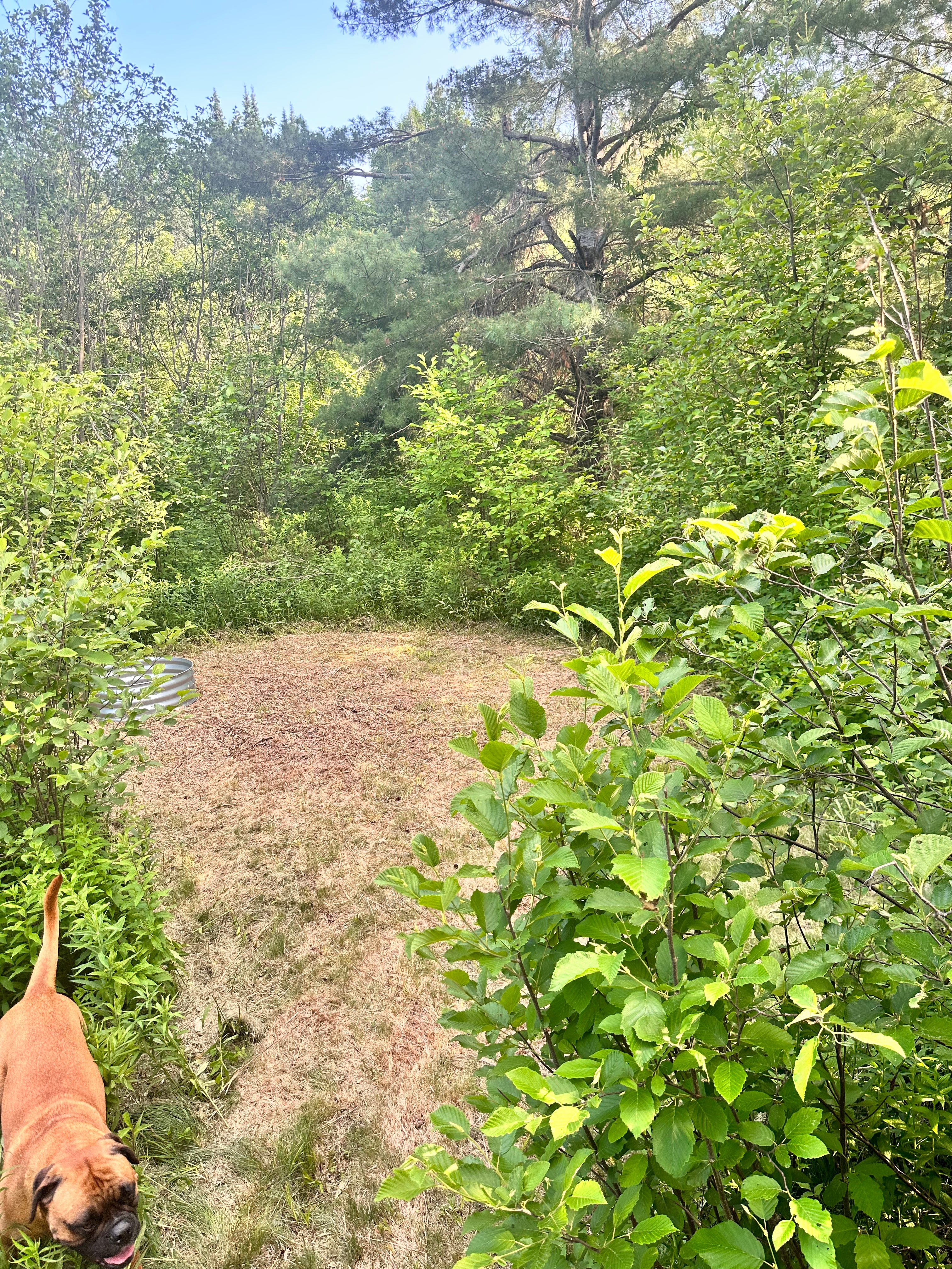 Huckleberry camp