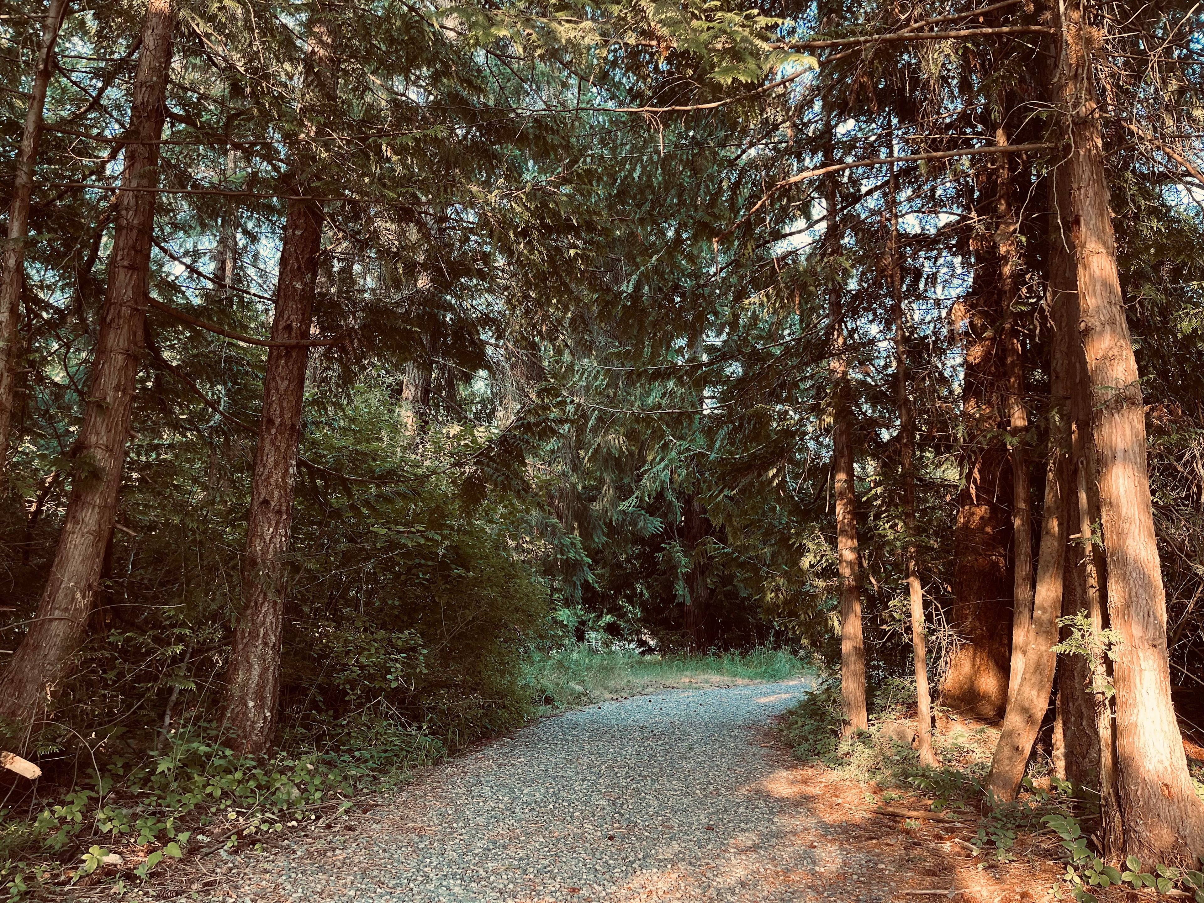 Shirewoods Farm