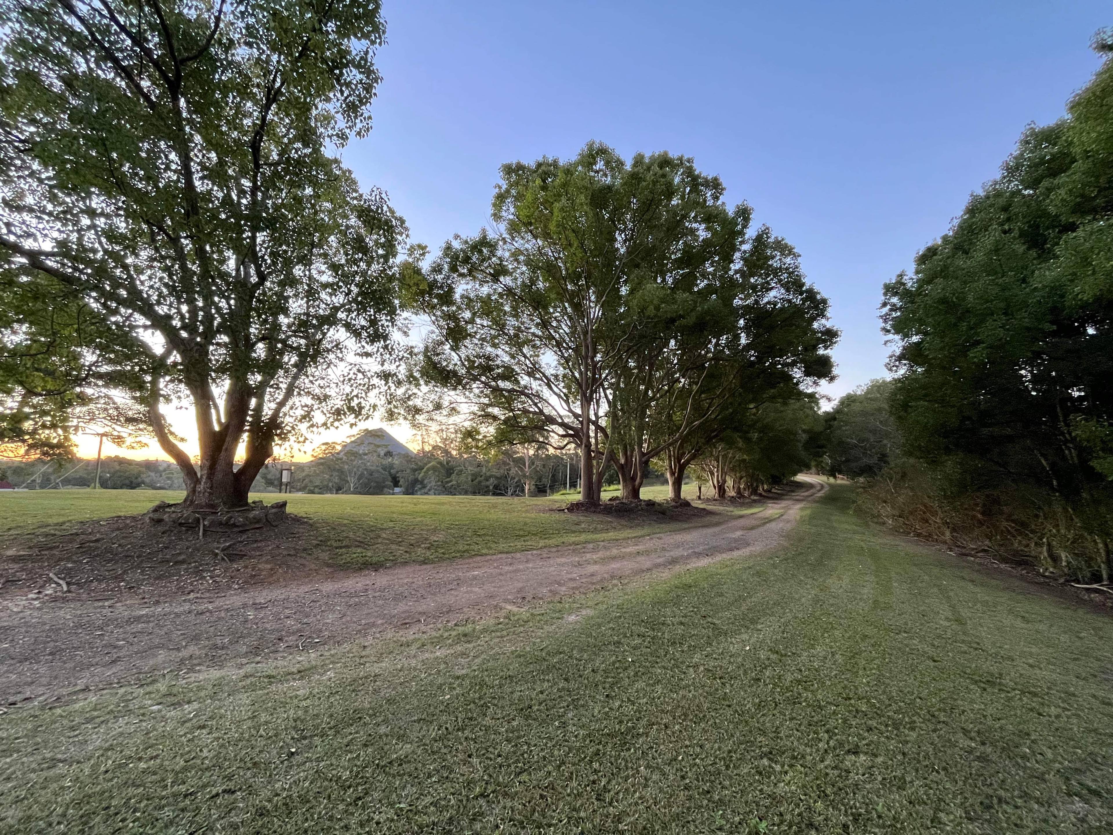 Wallaby Ridge