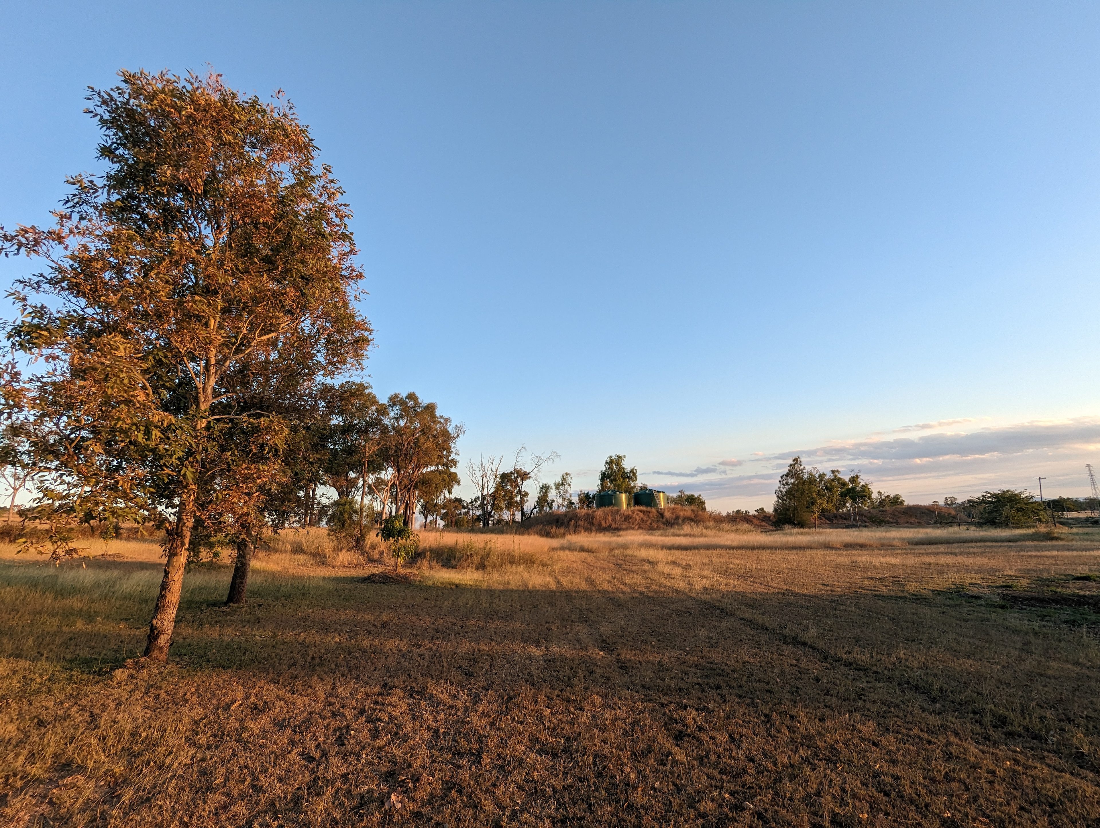 Camping Area looking across from driveway