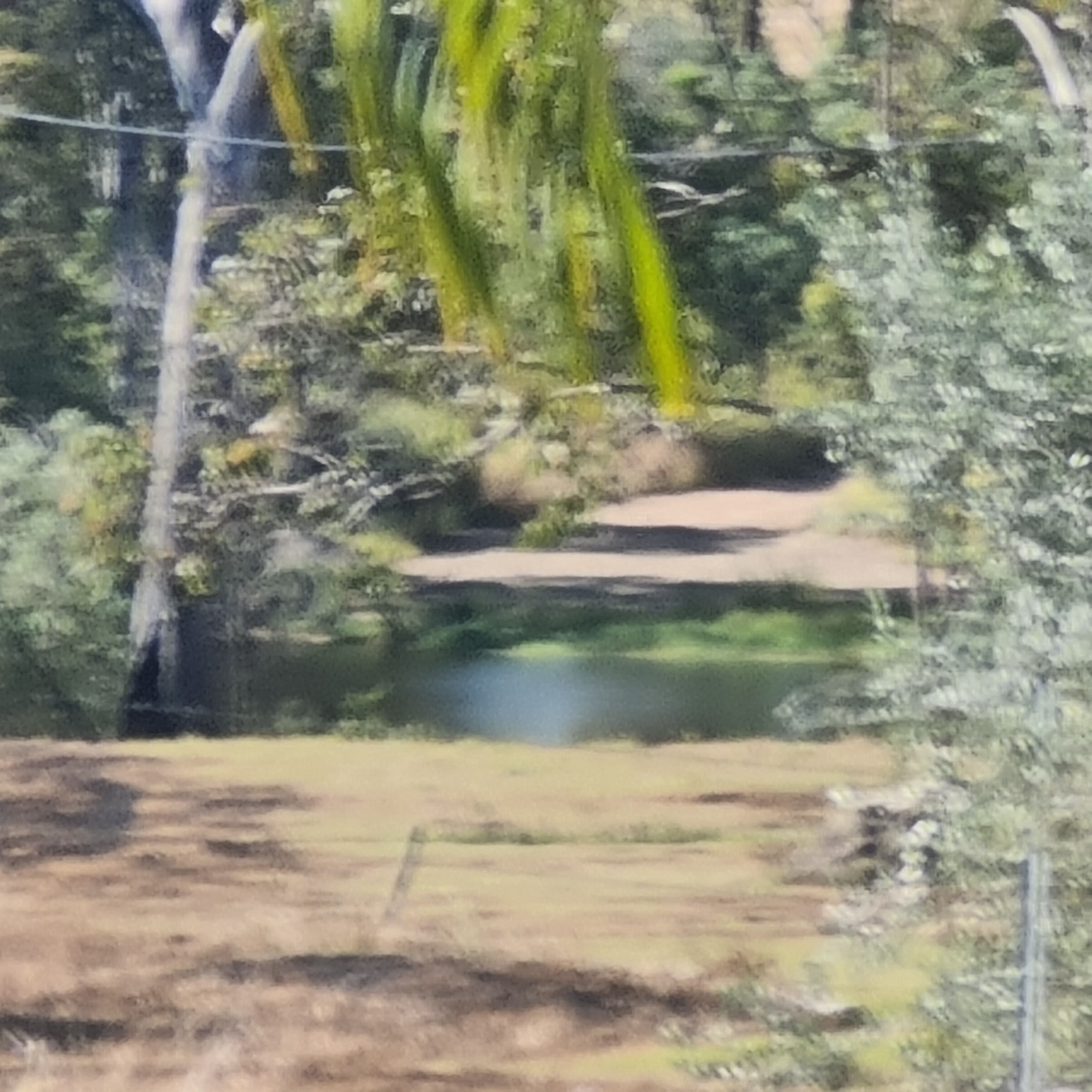 Riverbend Mary River hipcamp