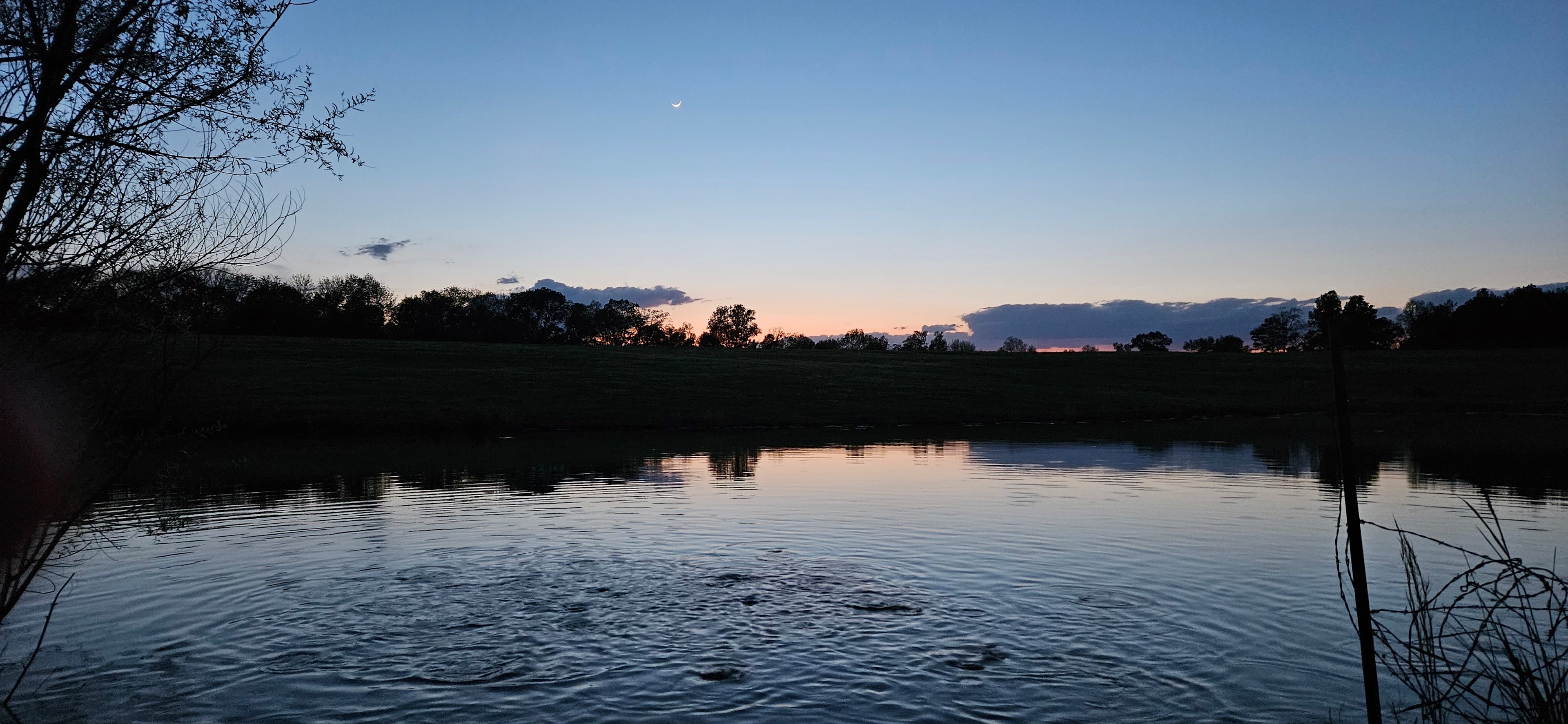 Catfish Pond