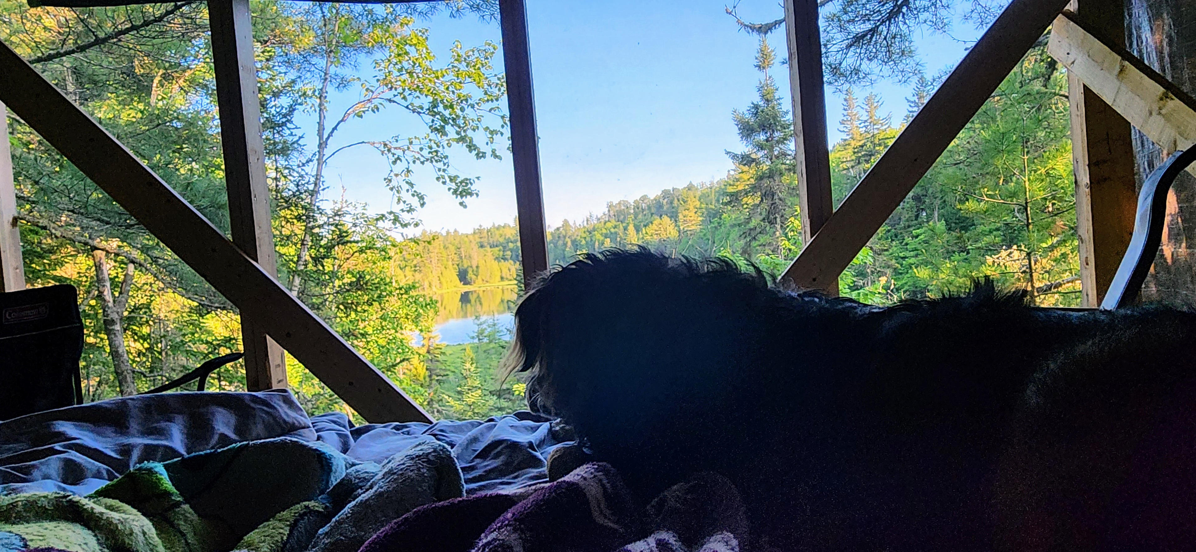 Our view from the cabin