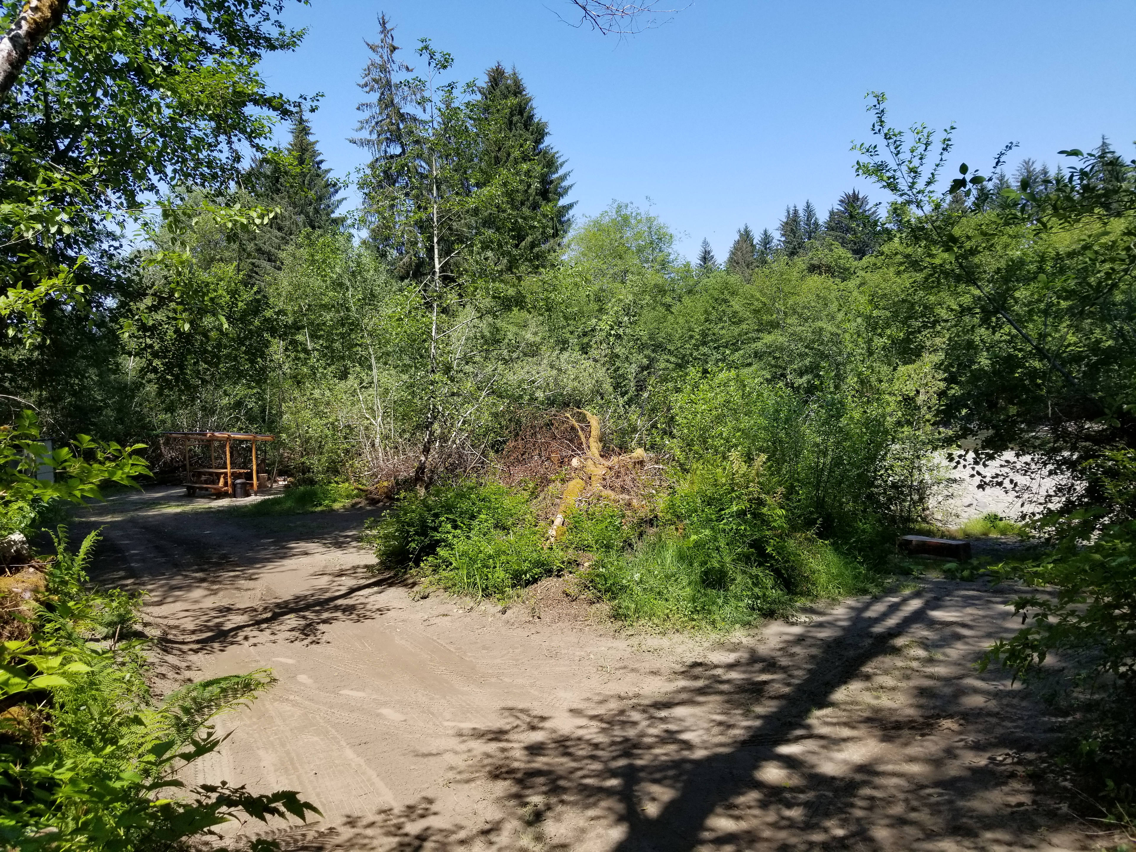 Bogachiel Upriver Campsites