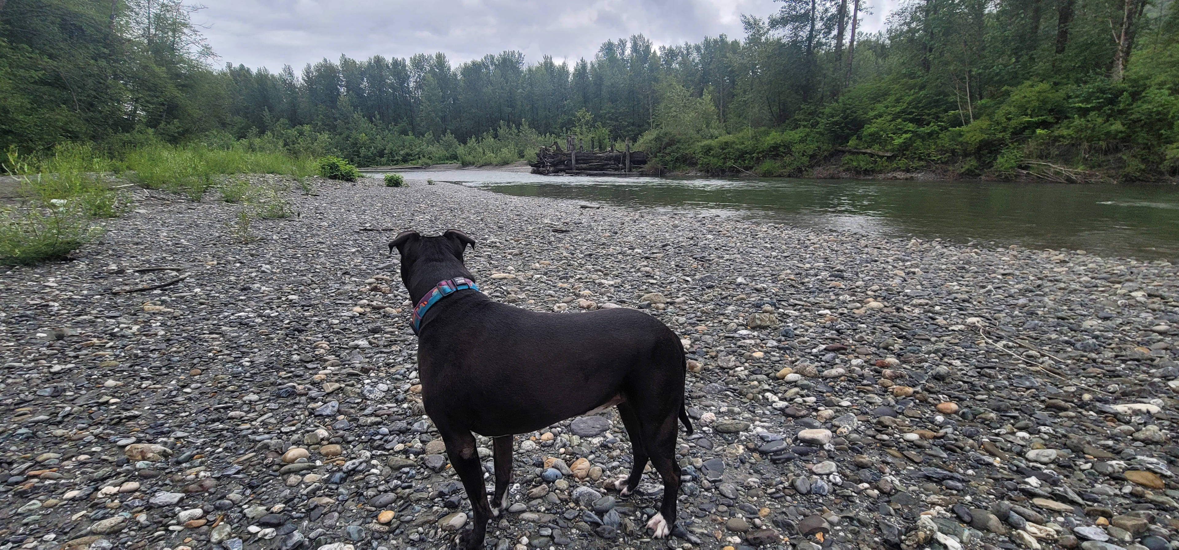 Mamas Garden River Getaway