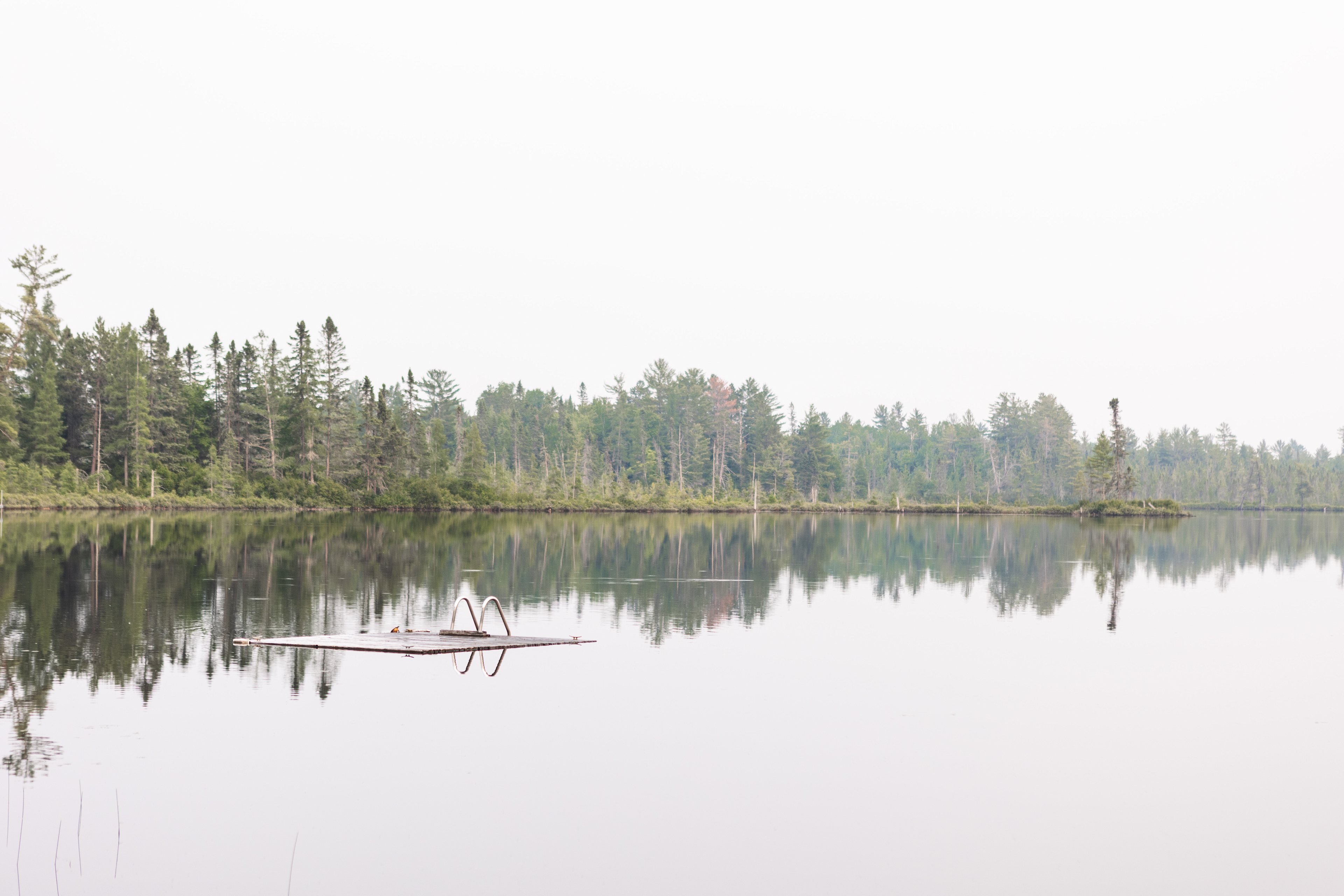 the pond 