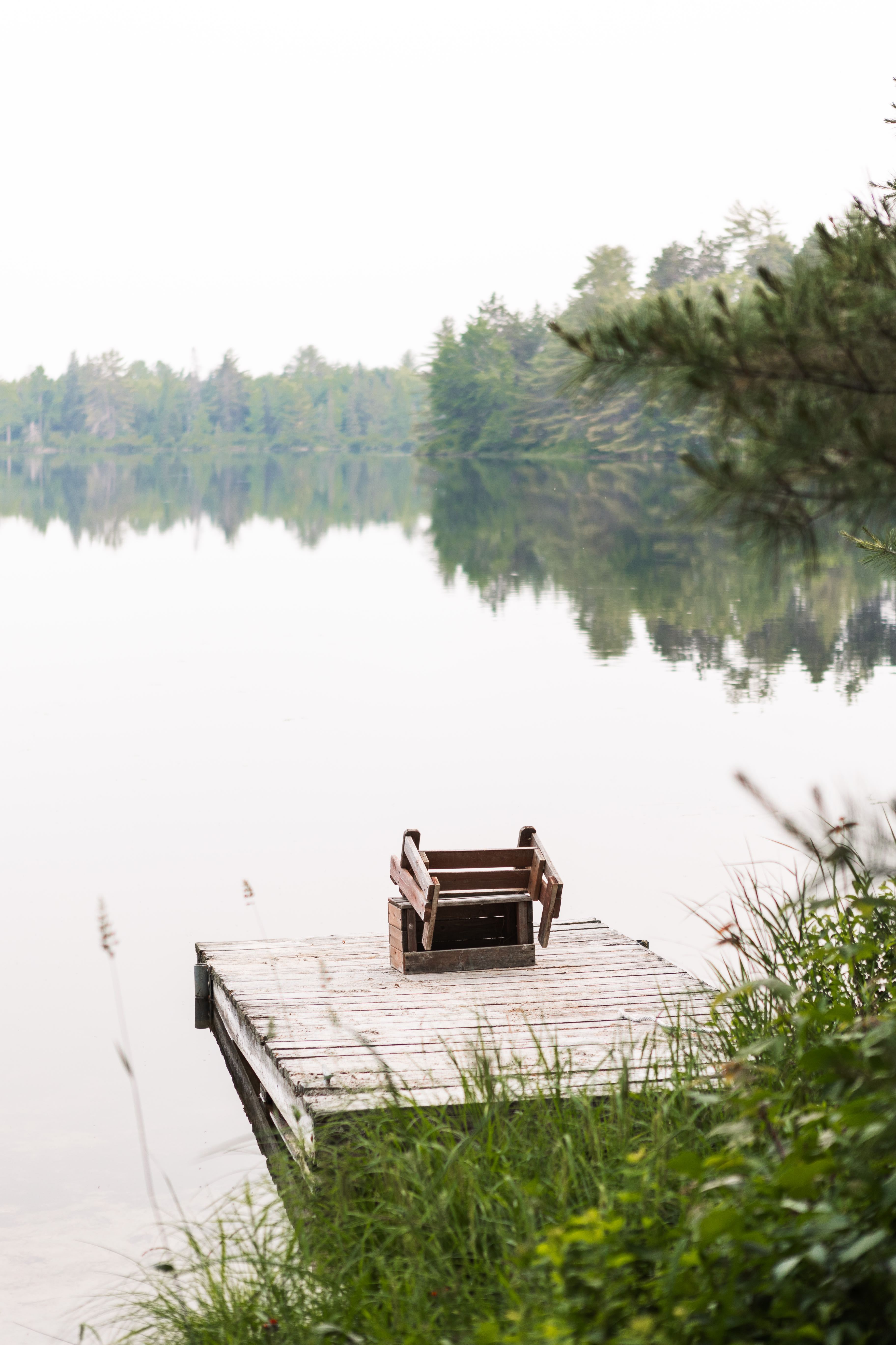 the pond 