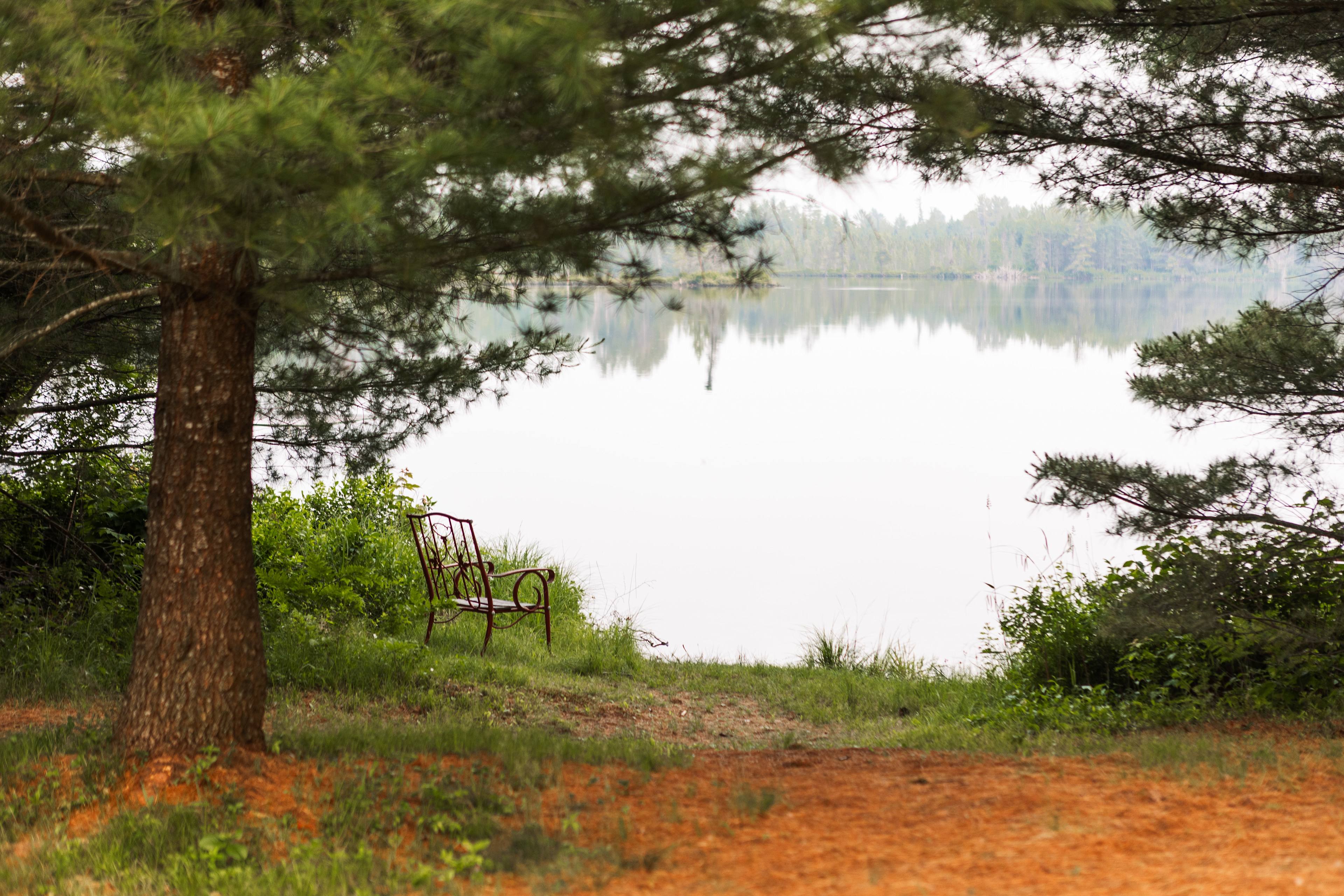 the pond 