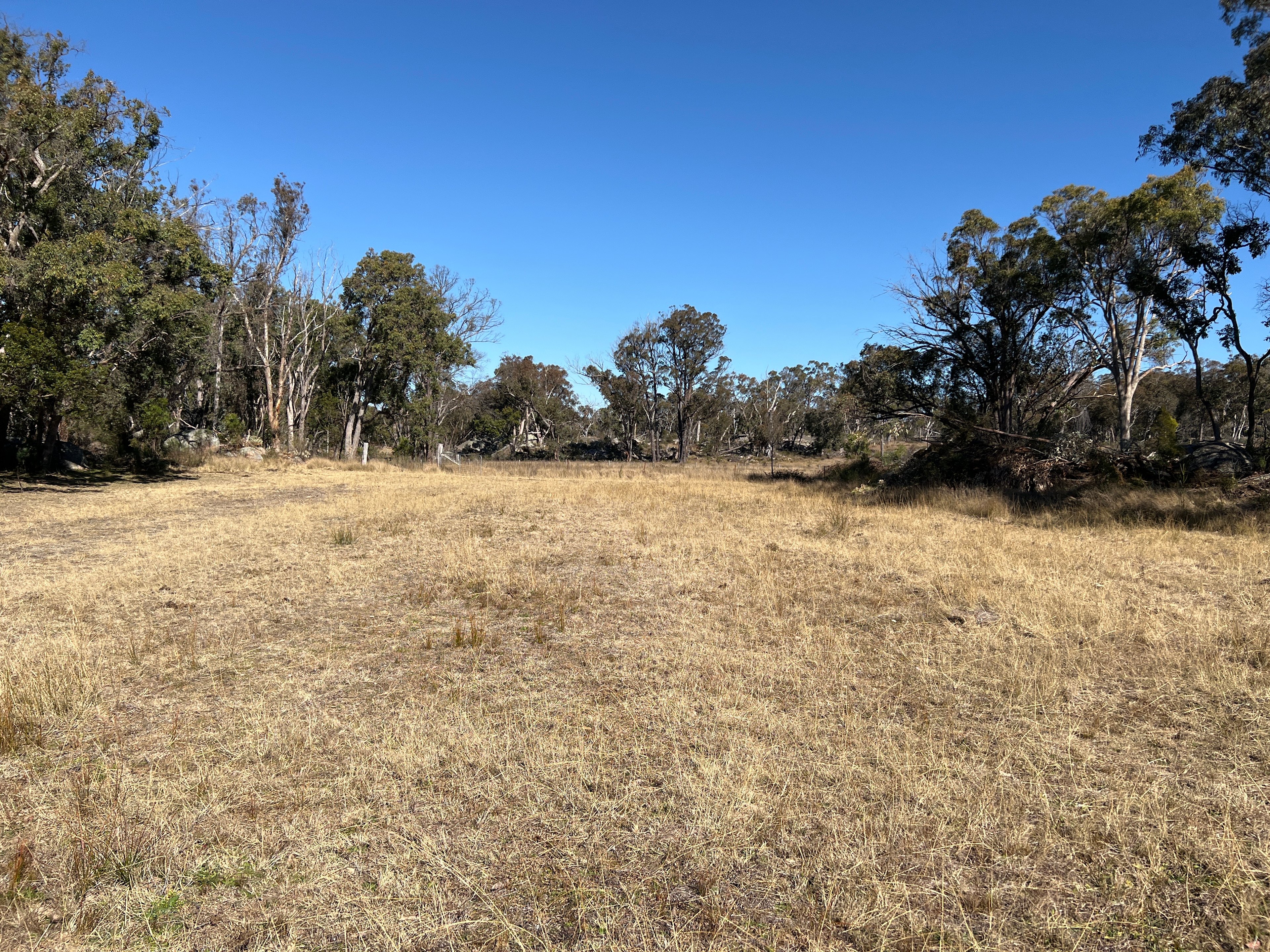 FigTastic Fruit Farm