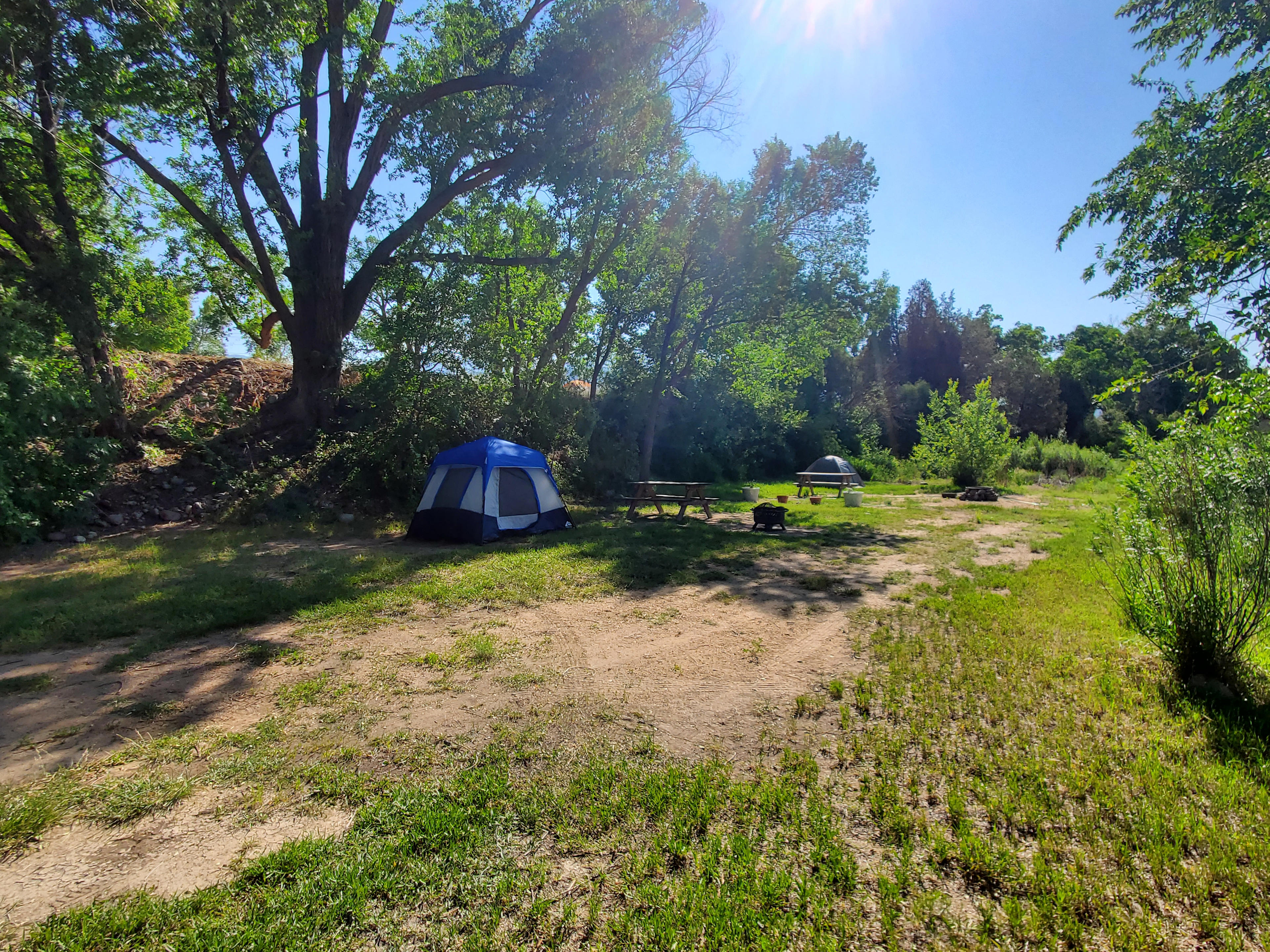 Cooper's Hawk is the two man tent in the background.