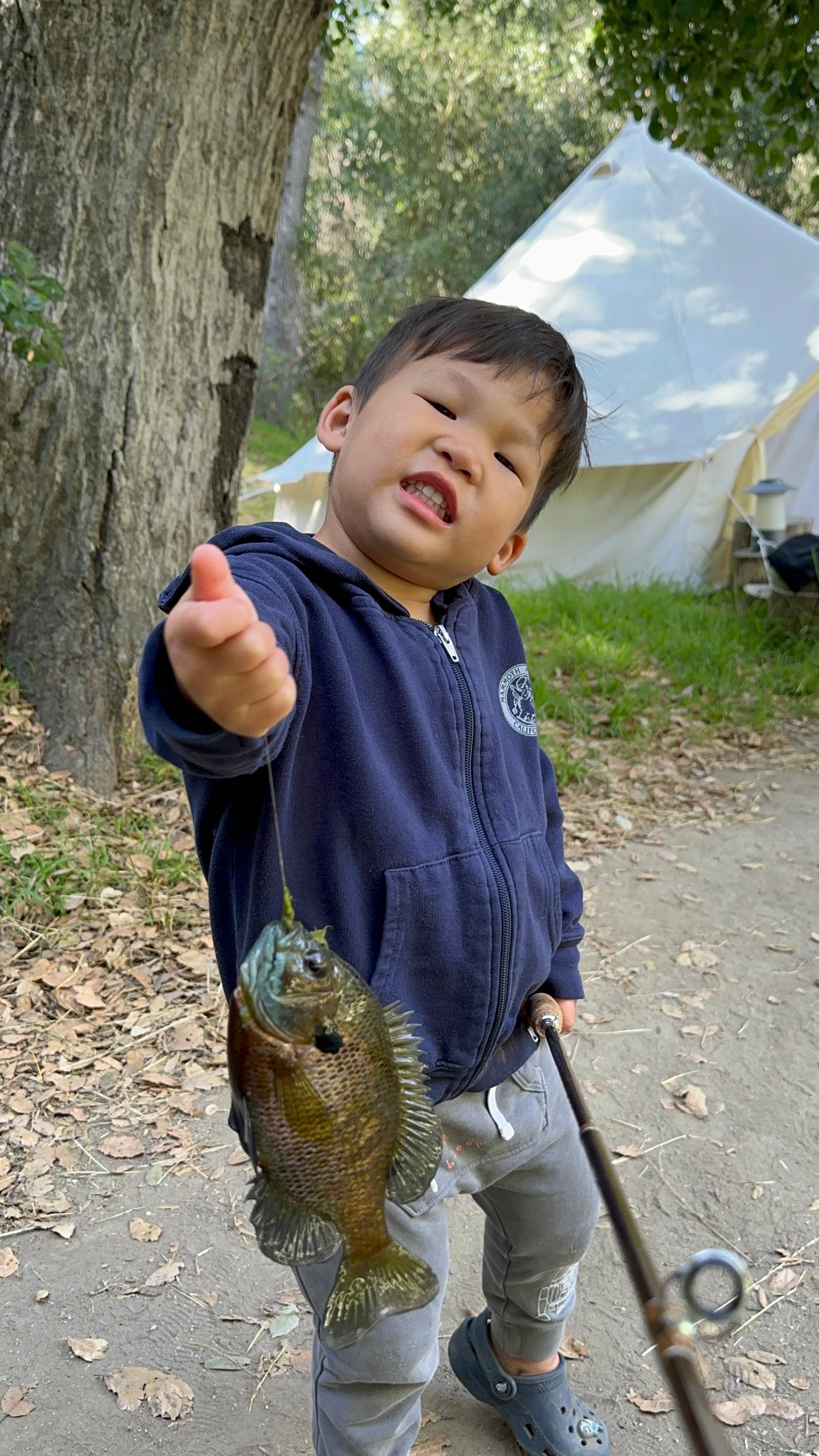 Temecula Bullfrog Pond