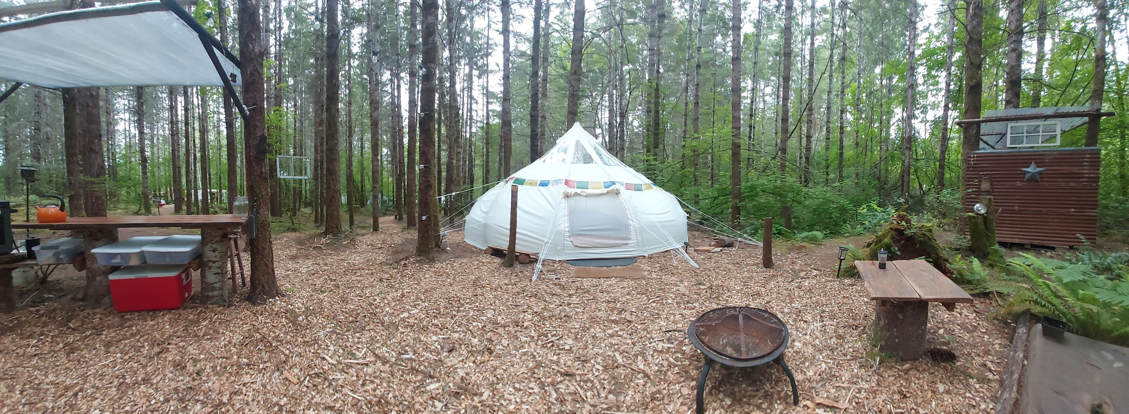 Elfendahl Forest
